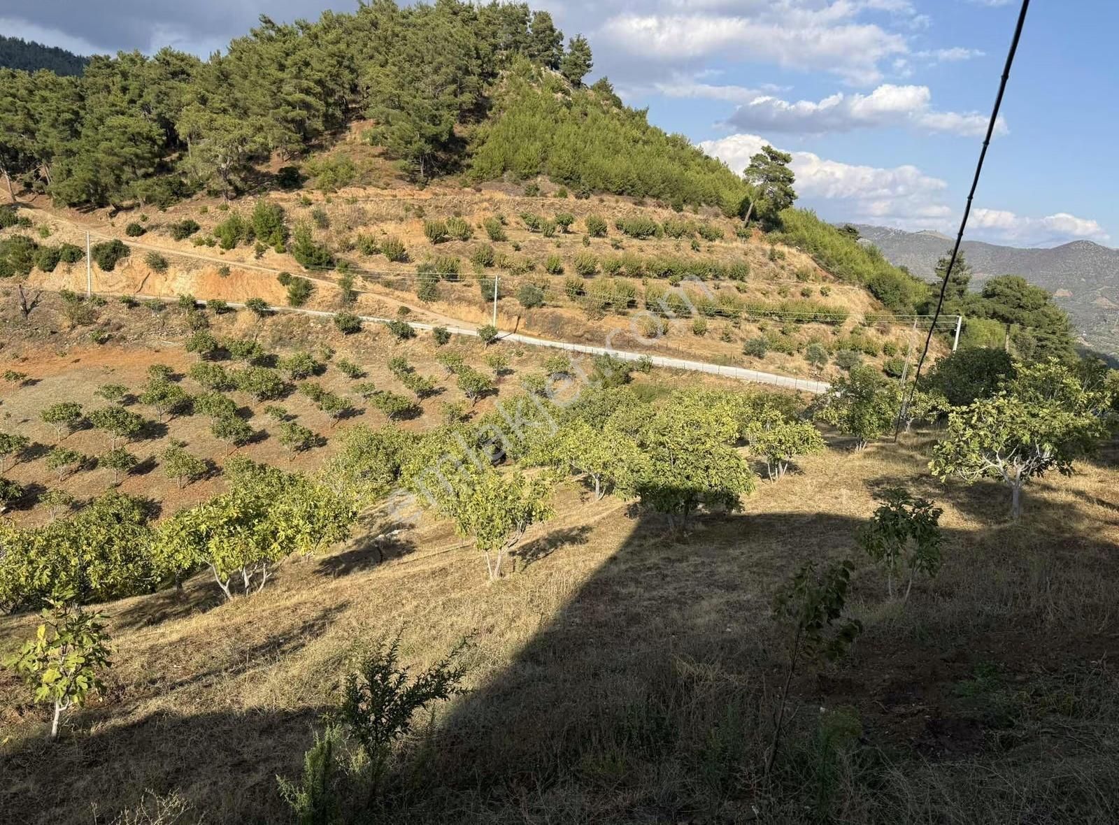 Pek Emlaktan Muhteşem Konumda Müstakil Ev Ve İncir Bahçesi - Görsel 17