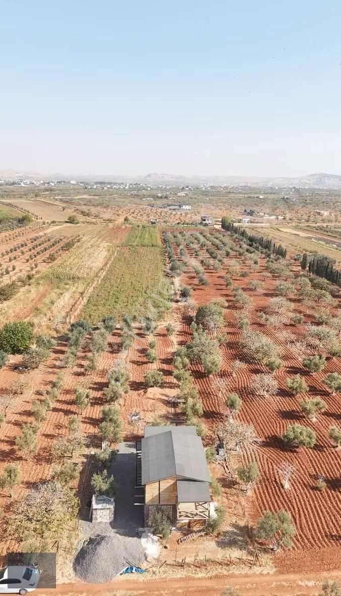 Roxy Group'tan Gürsu'da Muhteşem Konumda Satılık Bağ Evi!!!! - Görsel 4