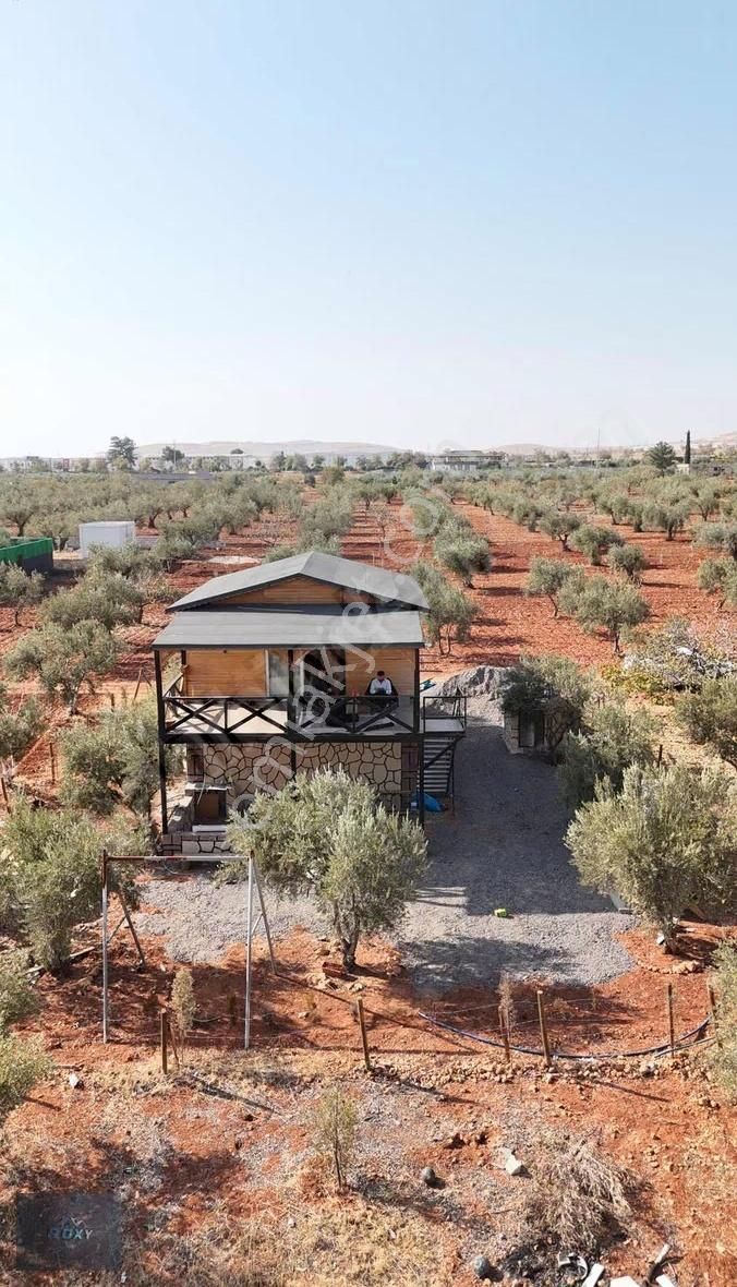 Roxy Group'tan Gürsu'da Muhteşem Konumda Satılık Bağ Evi!!!!