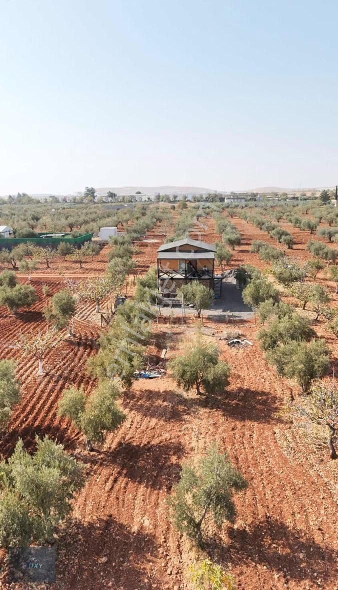 Roxy Group'tan Gürsu'da Muhteşem Konumda Satılık Bağ Evi!!!! - Görsel 5