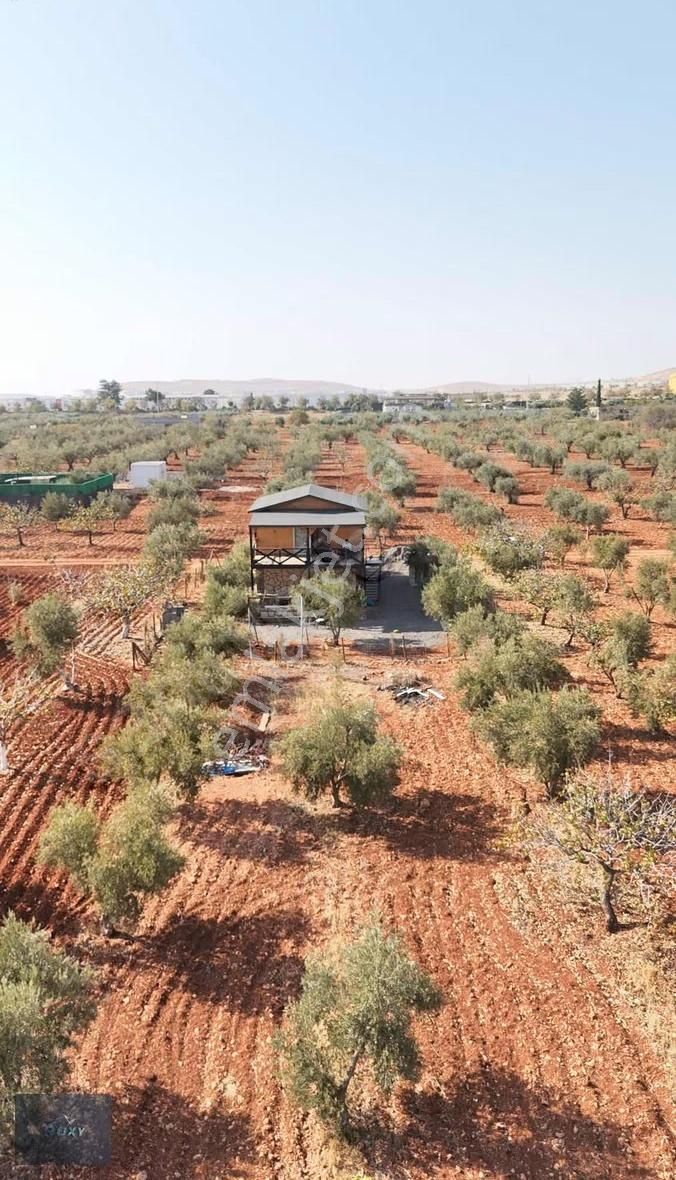 Roxy Group'tan Gürsu'da Muhteşem Konumda Satılık Bağ Evi!!!! - Görsel 7