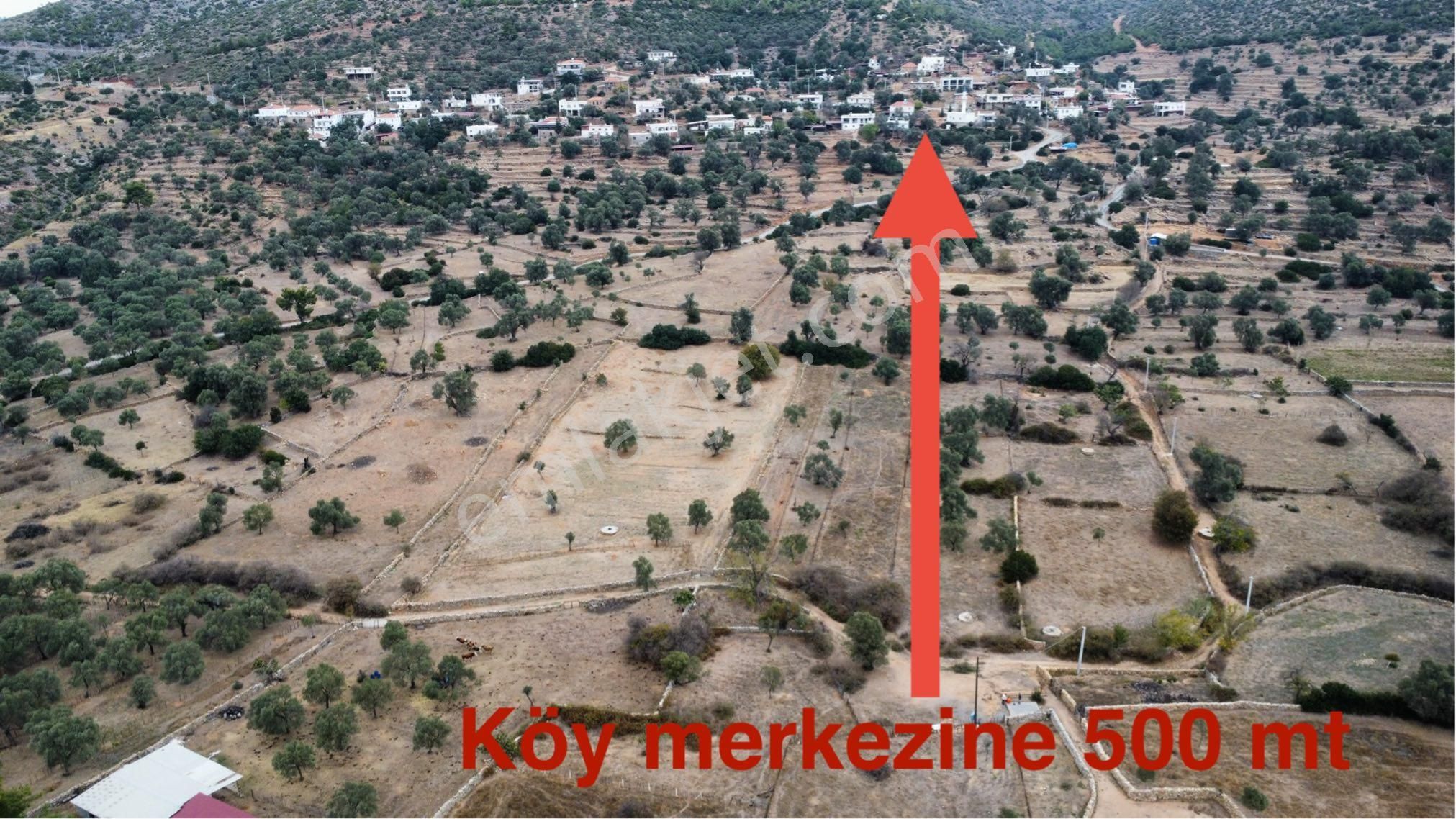 Mazı Armutçuk Köyünde Elektrik Su Olan Satılık Tarla - Görsel 2