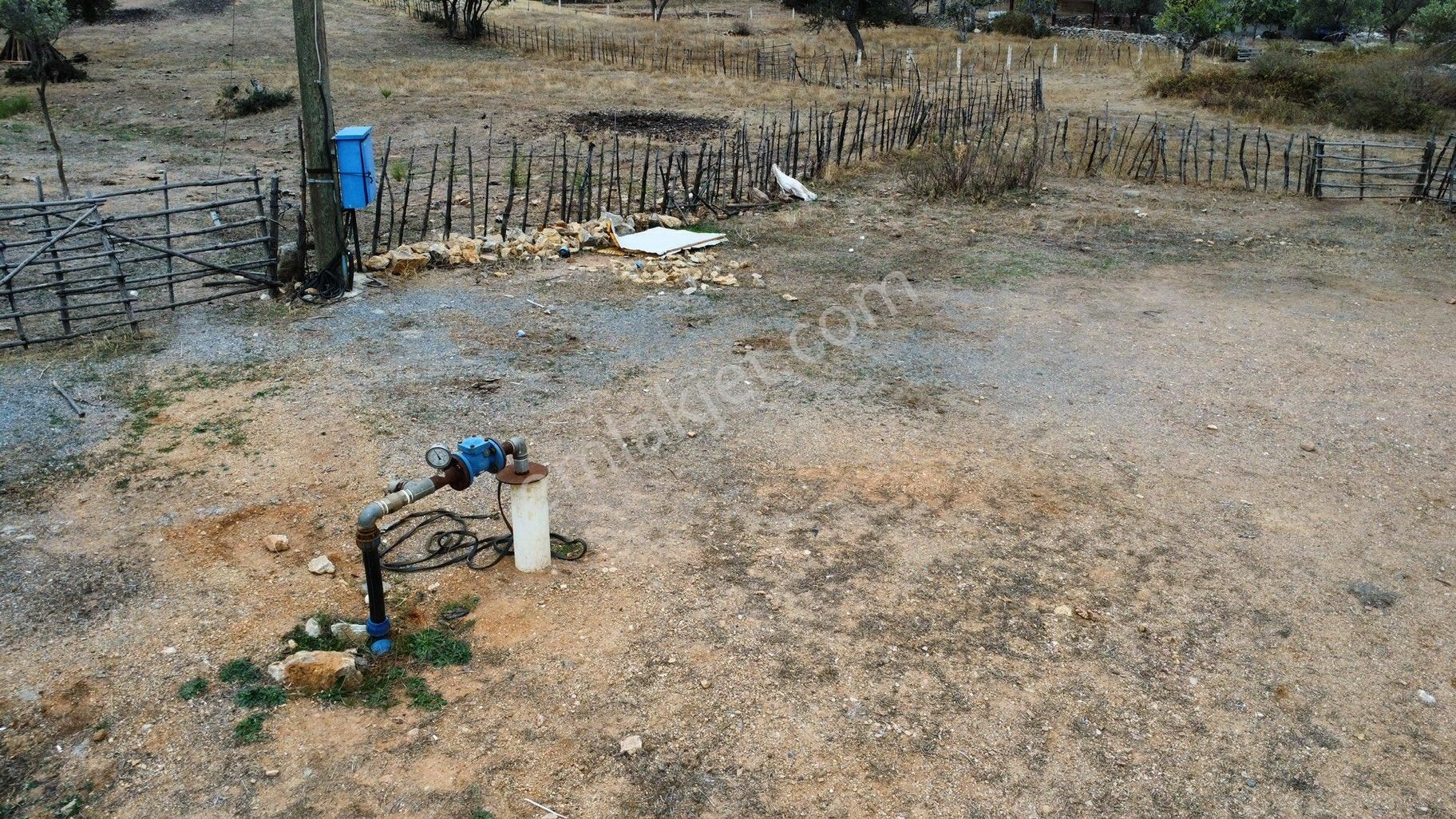 Mazı Armutçuk Köyünde Elektrik Su Olan Satılık Tarla - Görsel 9