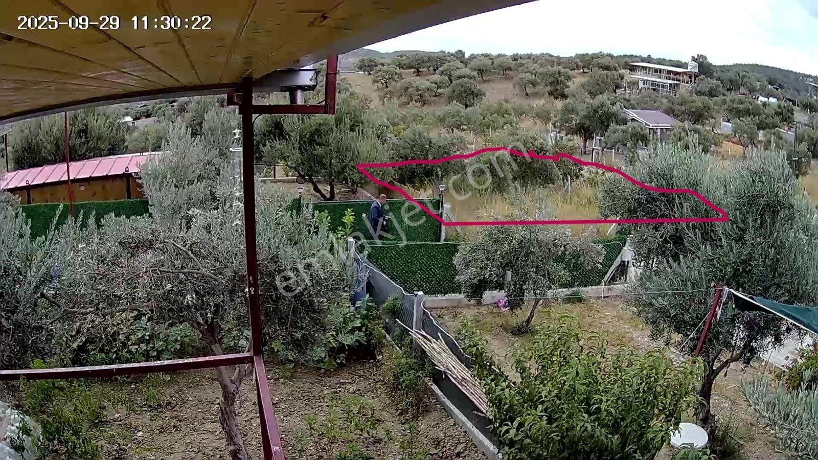 Torbalı Saiblerde İmar Sınırında Bahçe - Görsel 2