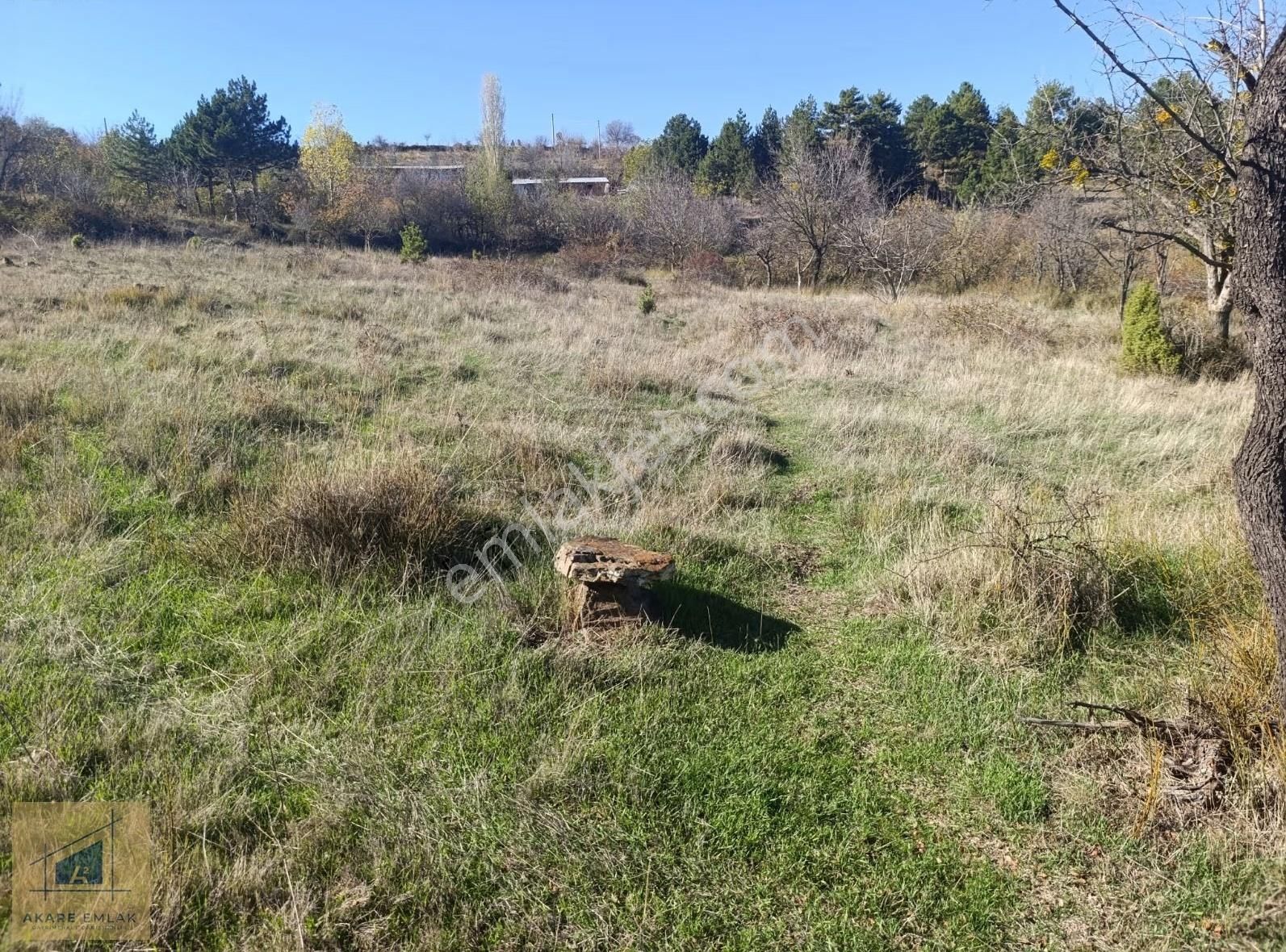 Bilecik Söğüt Cumhuriyet Mahallesinde - Görsel 8