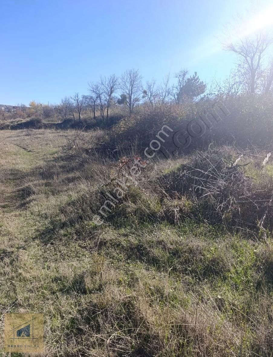 Bilecik Söğüt Cumhuriyet Mahallesinde - Görsel 12