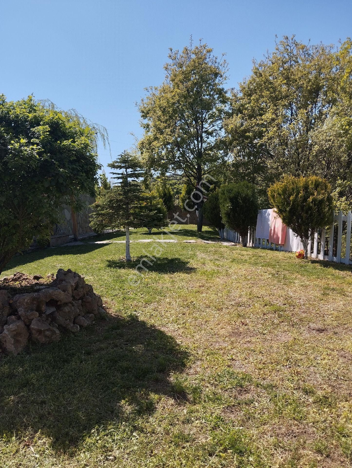 Şehirden Uzakta Sessiz Bir Yaşam - Görsel 3