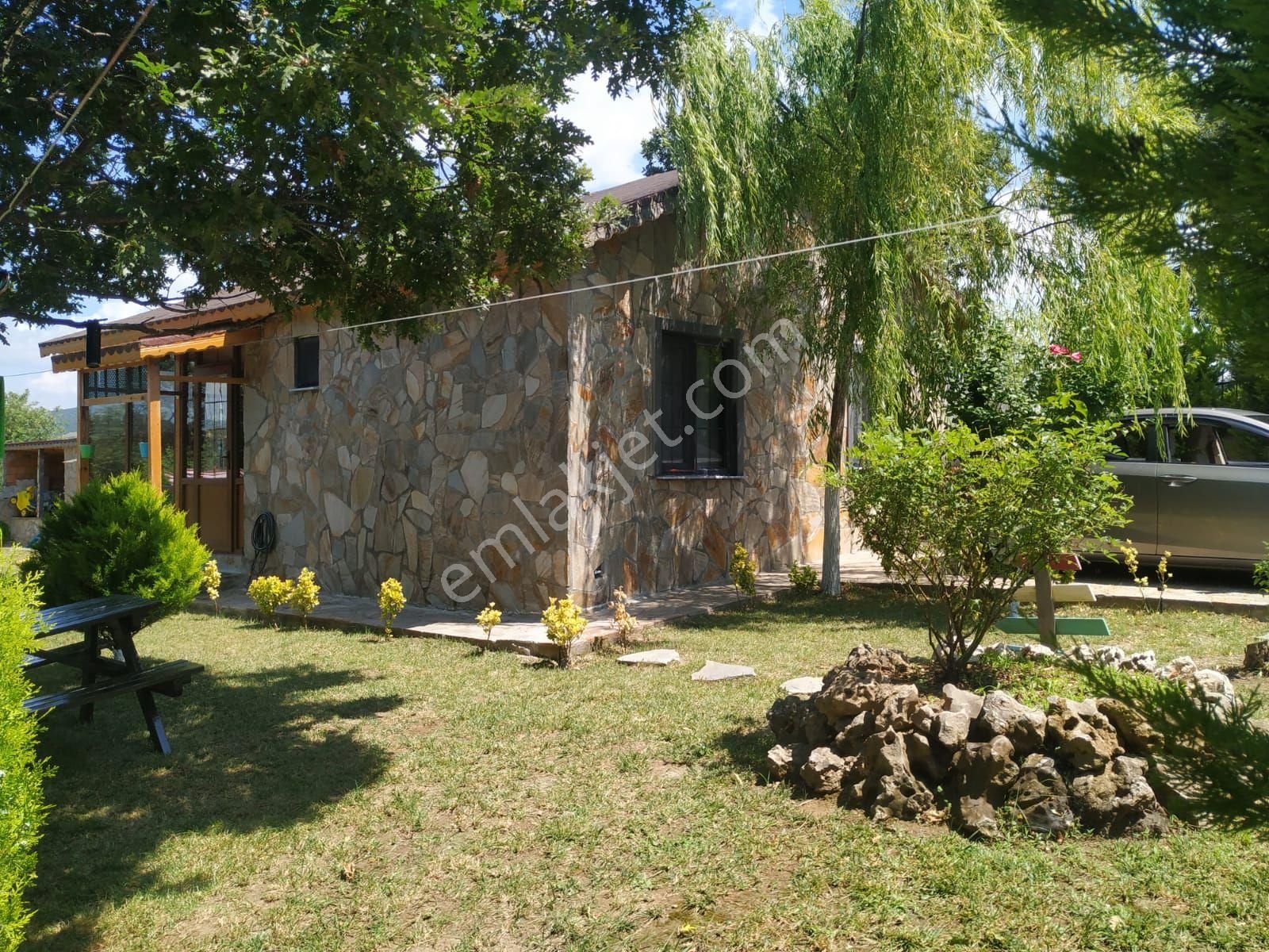 Şehirden Uzakta Sessiz Bir Yaşam - Görsel 27