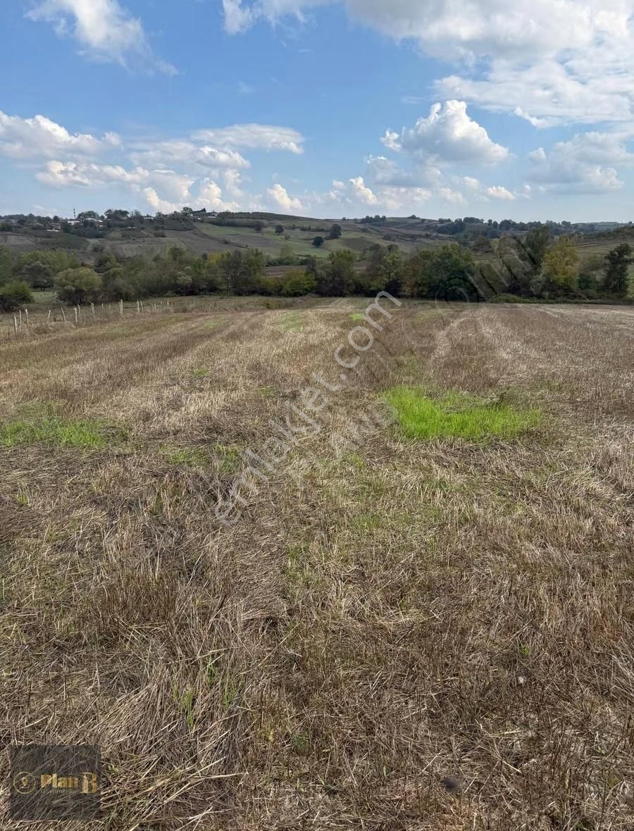 Kandıra Üğümce'de 4.536 M² Satılık Yatırımlık Parsel - Görsel 8