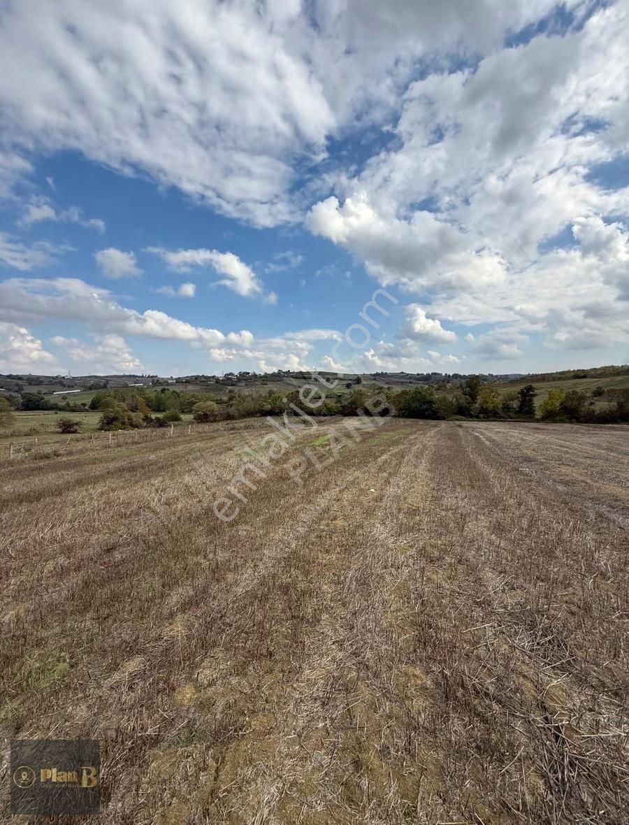 Kandıra Üğümce'de 4.536 M² Satılık Yatırımlık Parsel - Görsel 6