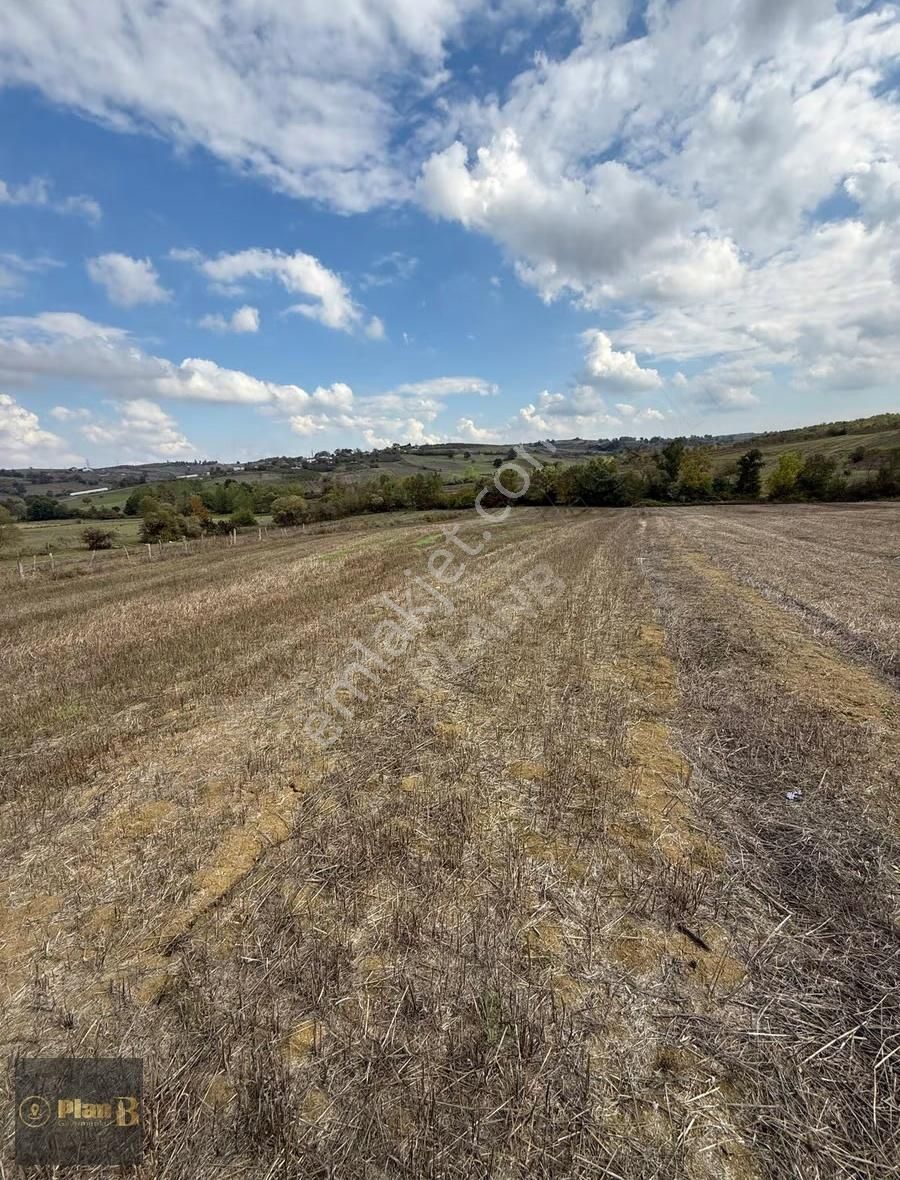 Kandıra Üğümce'de 4.536 M² Satılık Yatırımlık Parsel - Görsel 7