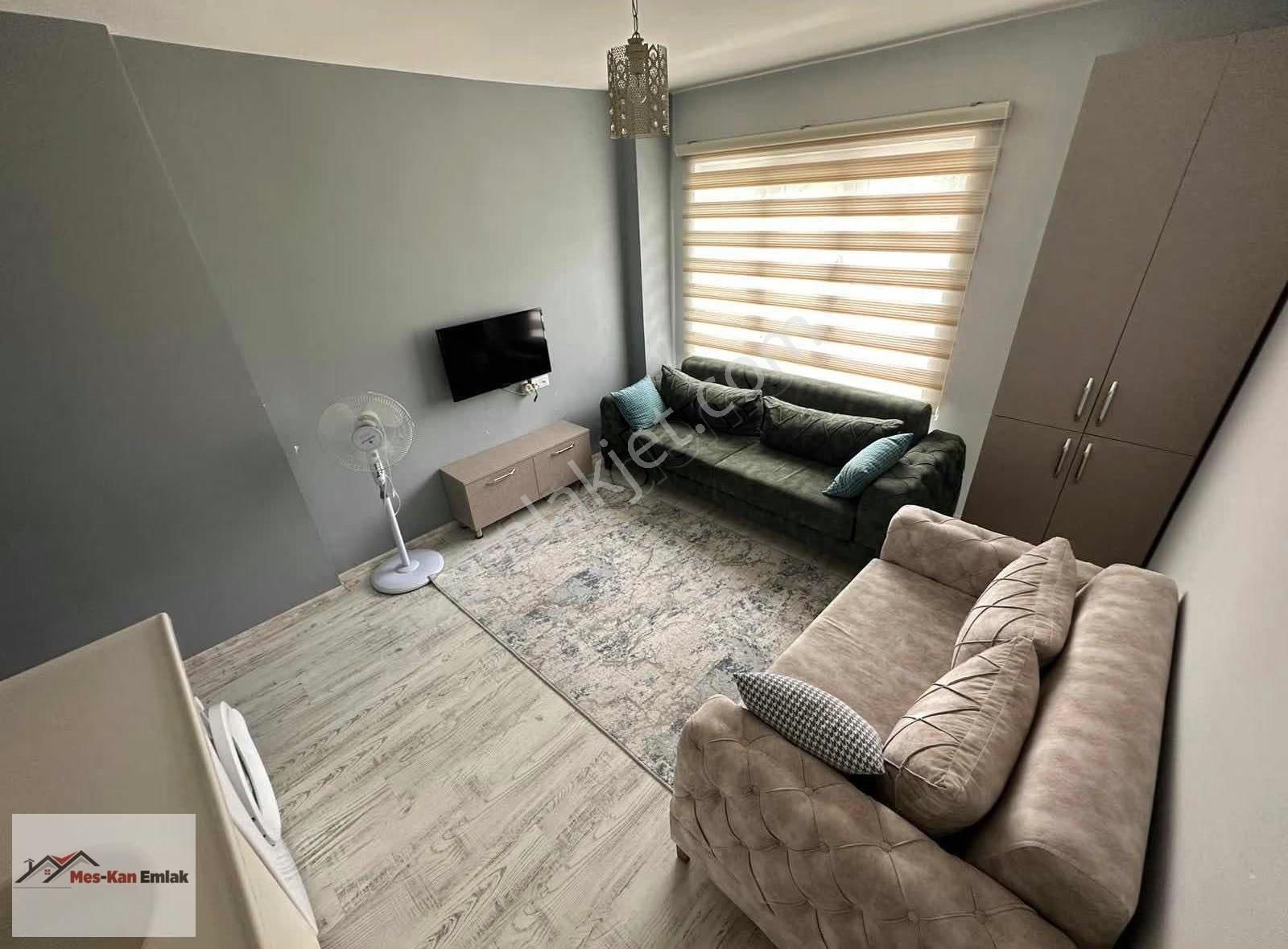 Meskandan Görüklede 1+1 6 Yaşında - Görsel 8