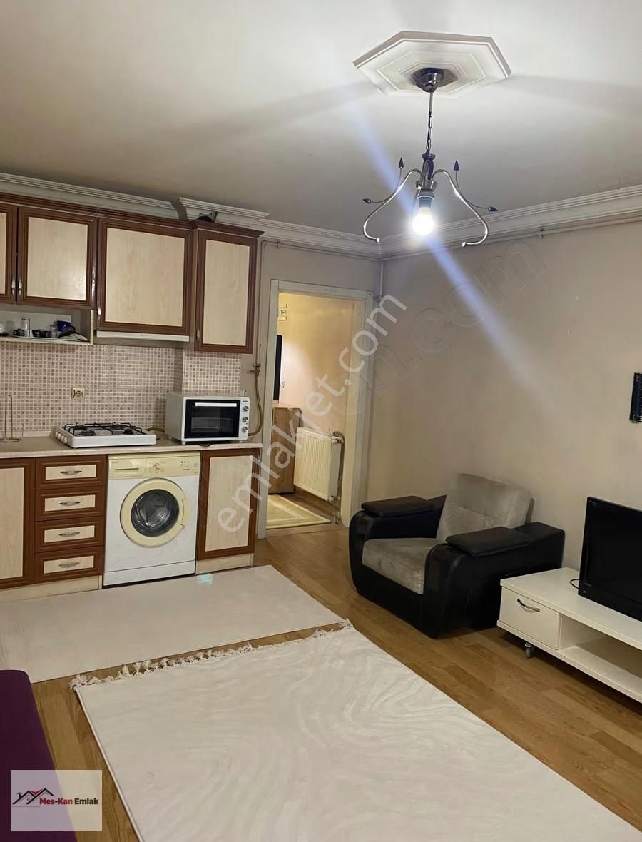 Meskan Dan Yerleşime Yakın Ara Kat 1+1 Eşyalı Kiralık - Görsel 2
