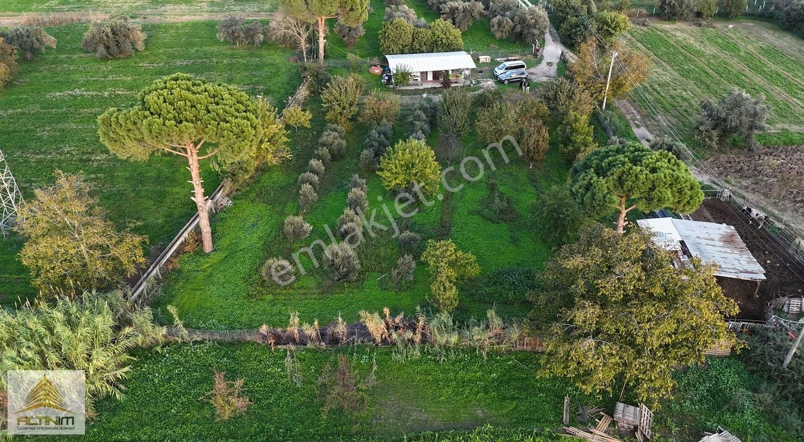 Atatürk Mahallesi Müftü Sokak Nefes Aldıran Yaşam Alanı Satılık