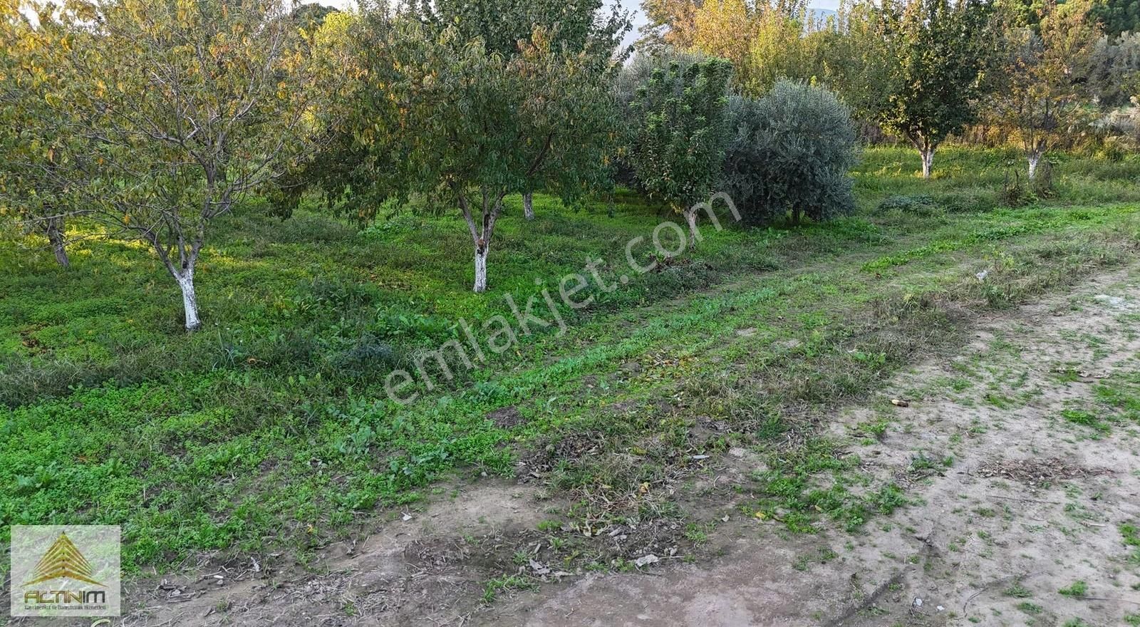 Atatürk Mahallesi Müftü Sokak Nefes Aldıran Yaşam Alanı Satılık - Görsel 7