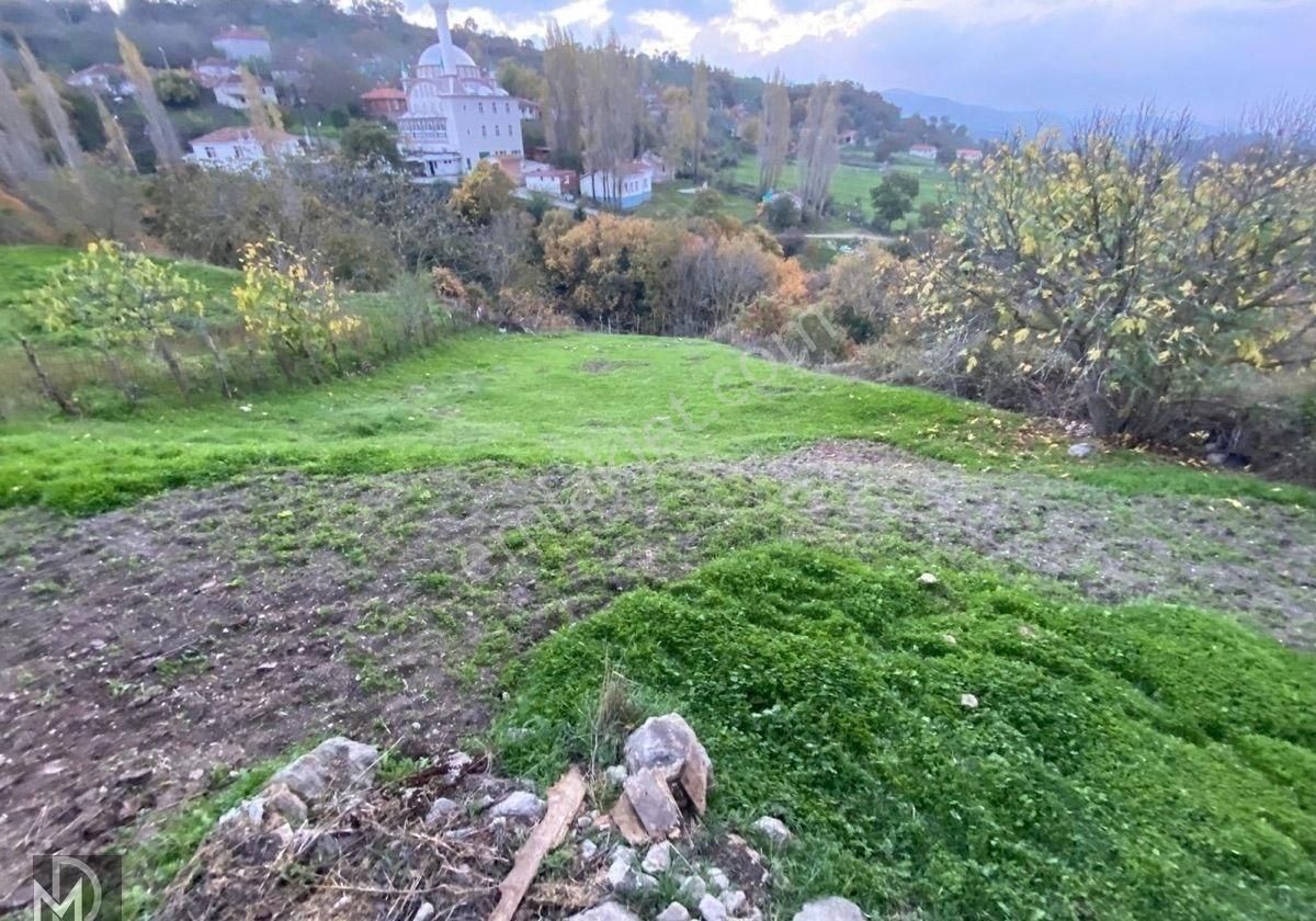 Havran Hüseyinbeşelerde 2 Tapu 615 Metrekare Arsa Ve Taş Eski Köy Evi - Görsel 12