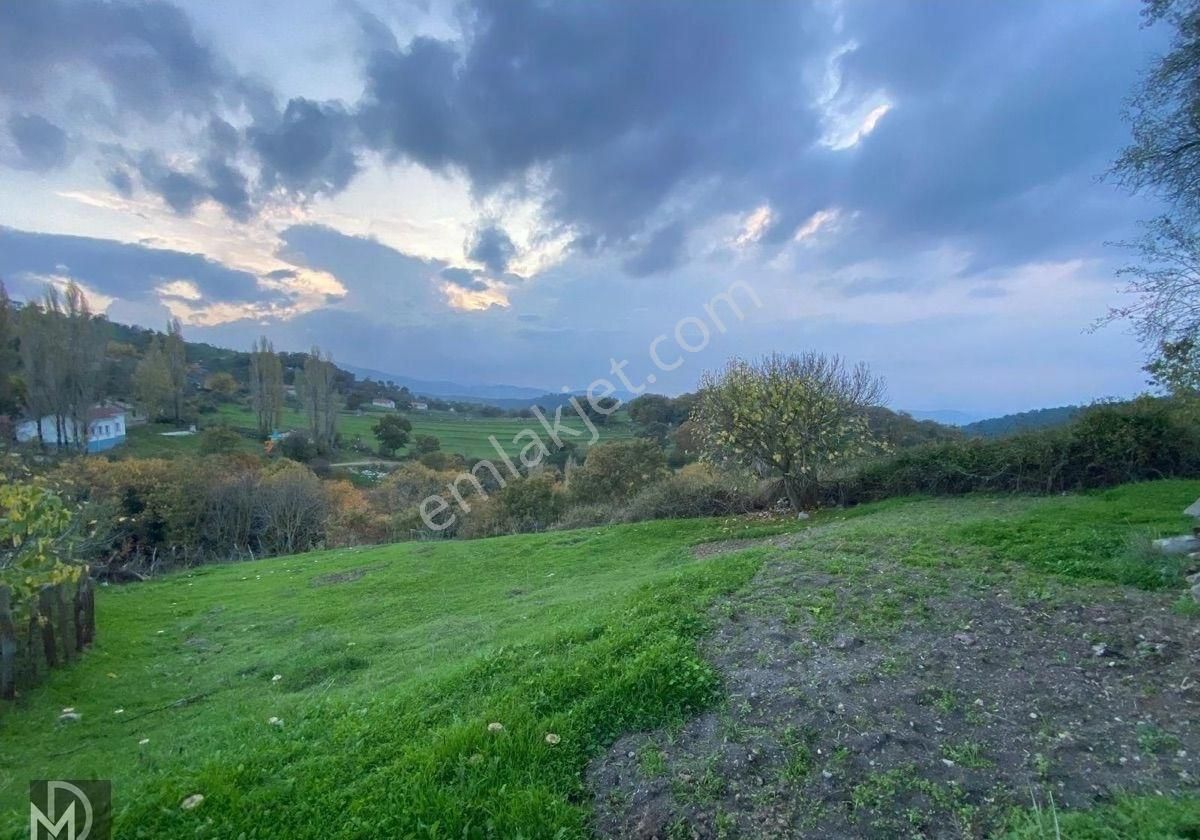 Havran Hüseyinbeşelerde 2 Tapu 615 Metrekare Arsa Ve Taş Eski Köy Evi - Görsel 14