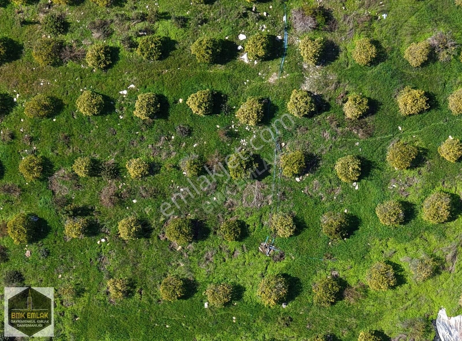 Bmk Emlaktan Mavikentte Müstakil Tapulu 8 Adet Villa Arsası - Görsel 2
