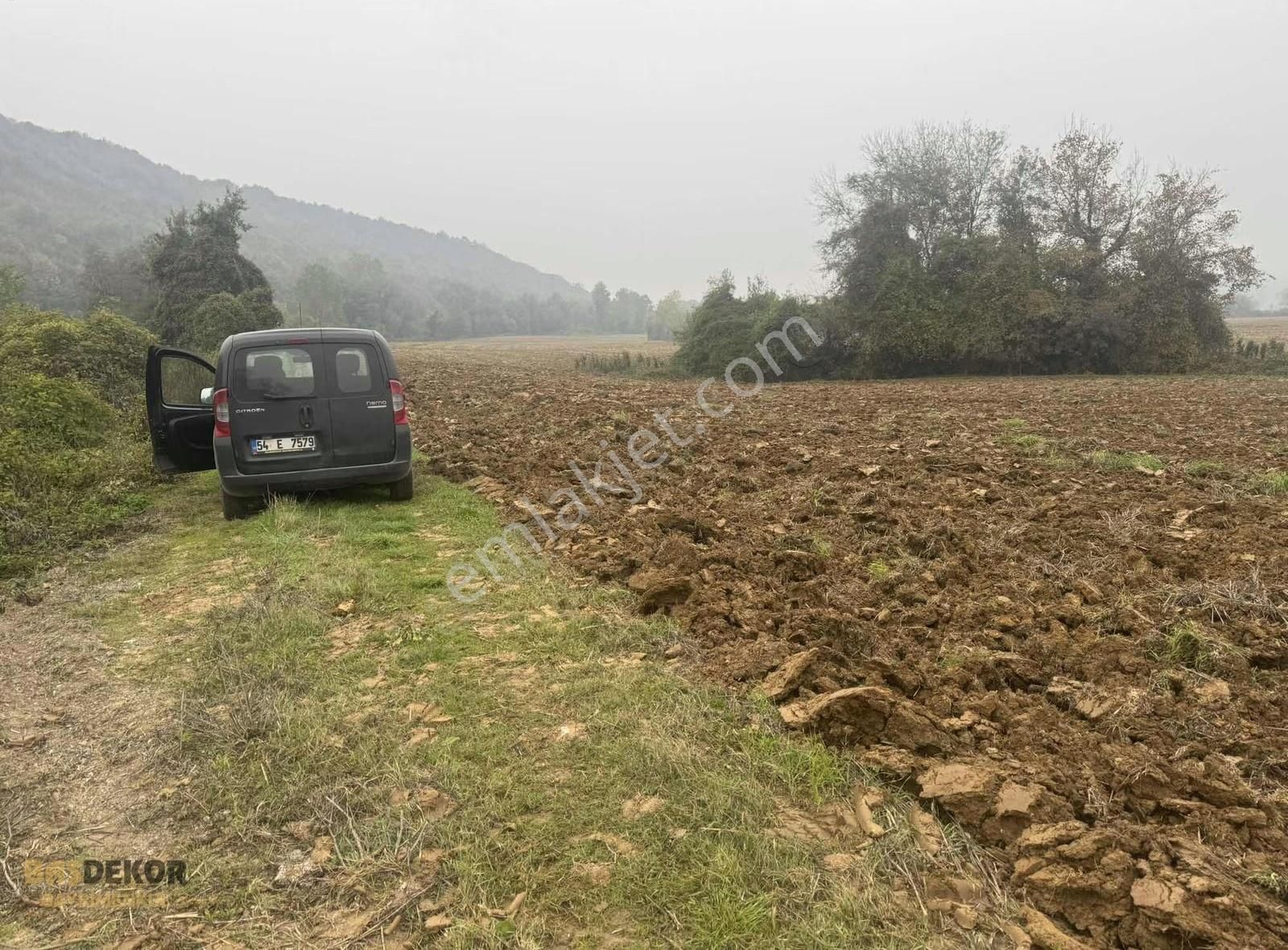 Başdekor Gayrimenkul'den Satılık Tarla Korucuk'ta - Görsel 3