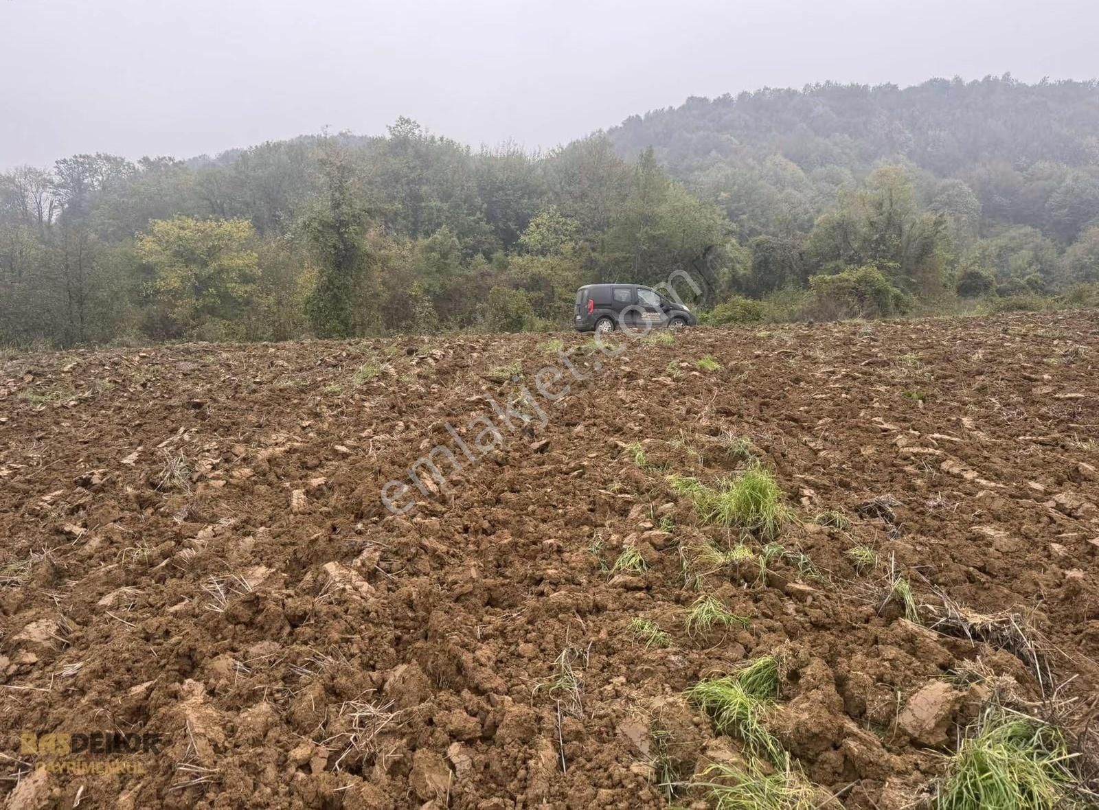 Başdekor Gayrimenkul'den Satılık Tarla Korucuk'ta - Görsel 13
