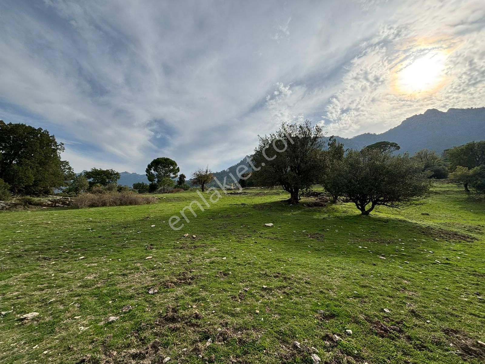 📍 Muğla Milas Çukur Mahallesi – Yatırımlık 2 Adet Arazi -82