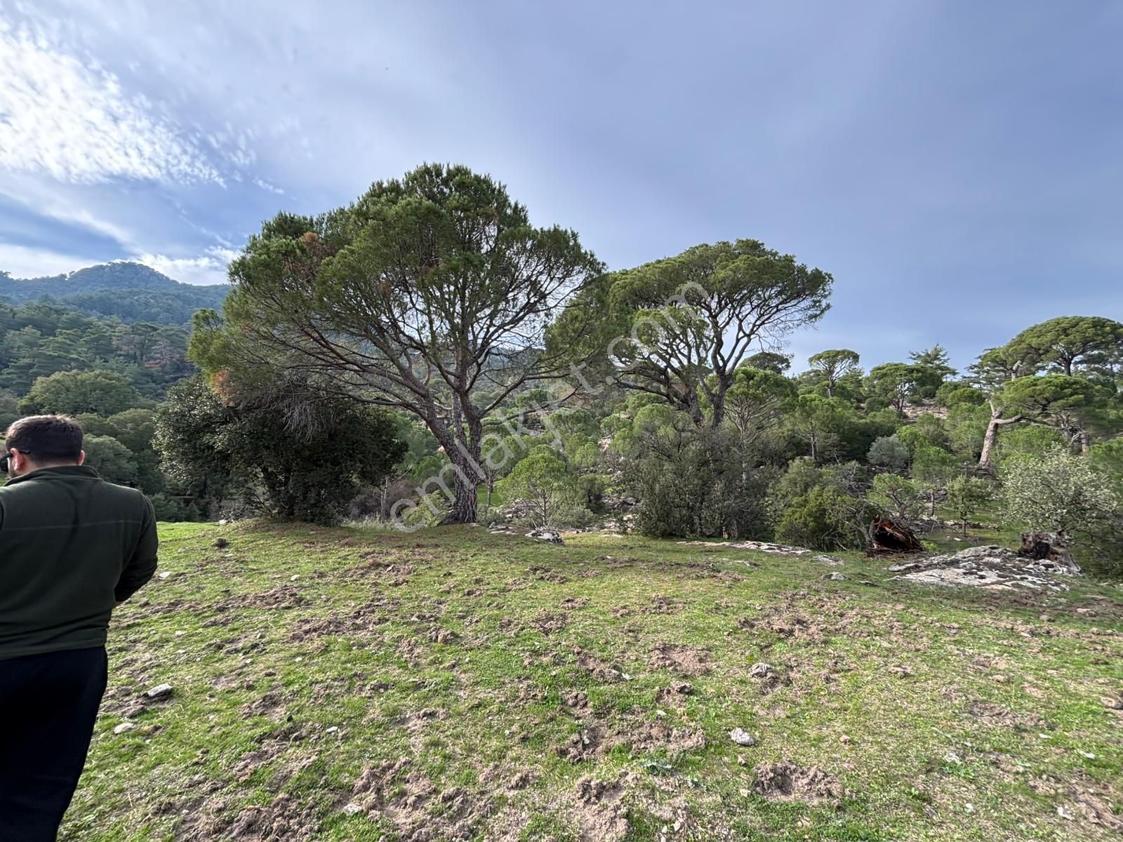 📍 Muğla Milas Çukur Mahallesi – Yatırımlık 2 Adet Arazi -82 - Görsel 3