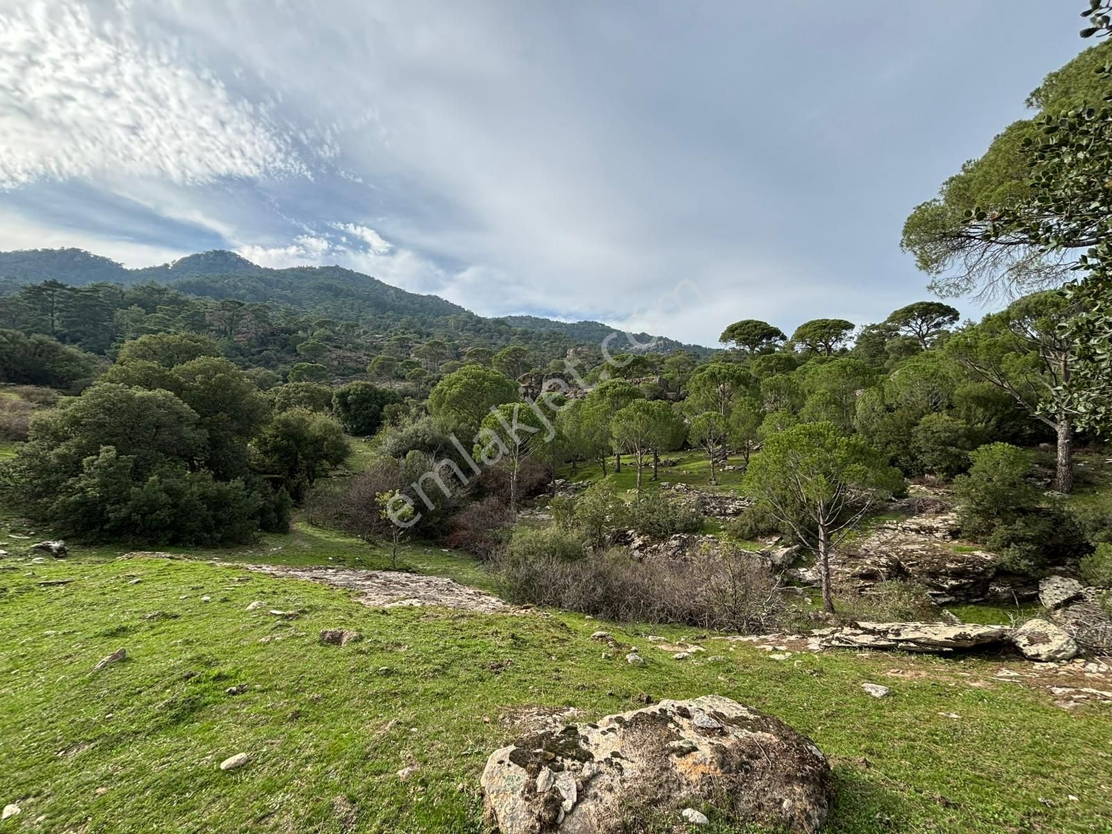📍 Muğla Milas Çukur Mahallesi – Yatırımlık 2 Adet Arazi -82 - Görsel 5