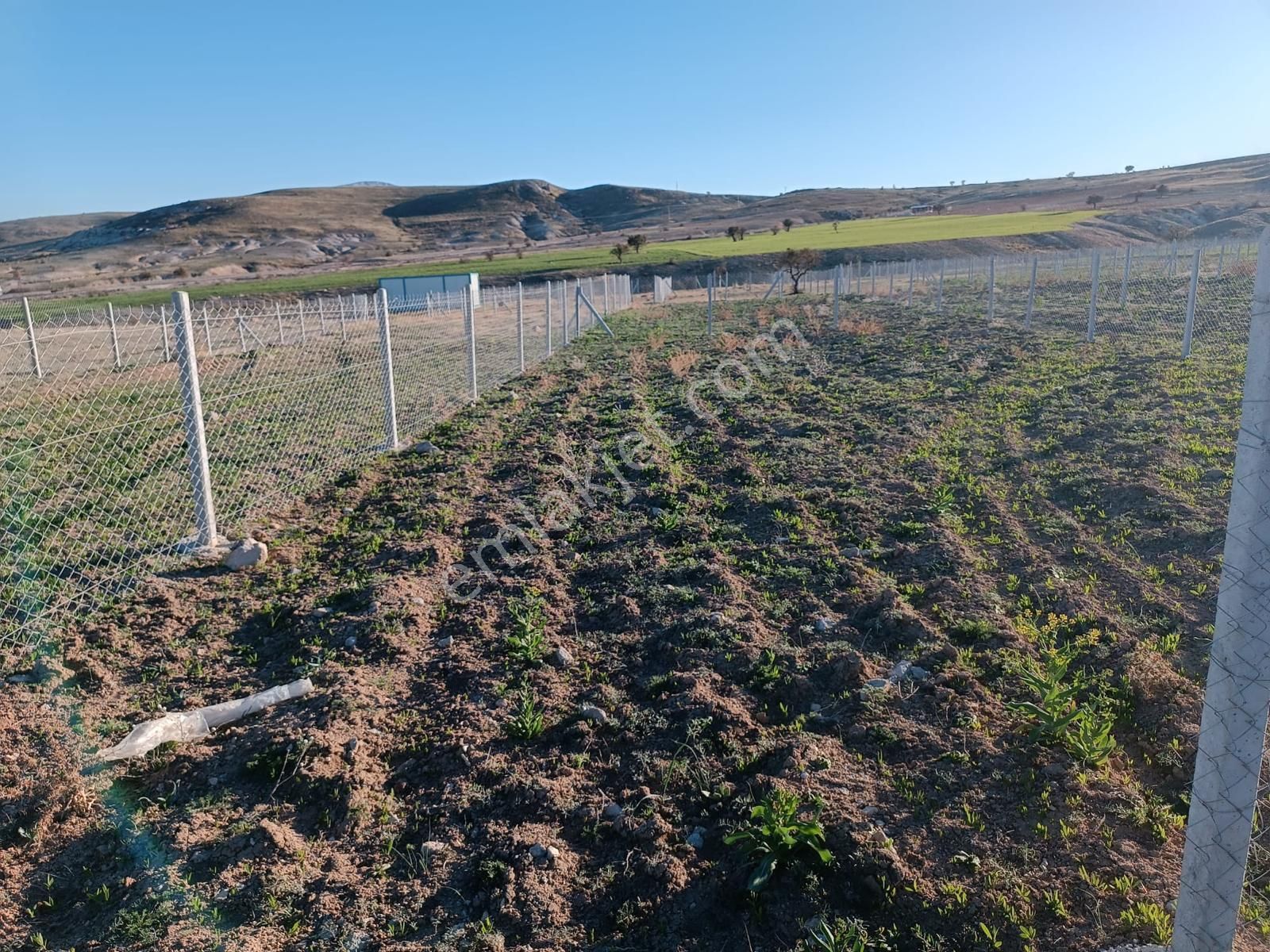 Selçuklu Sulutas'da 300 M2 Satılık Bahçe - Görsel 4