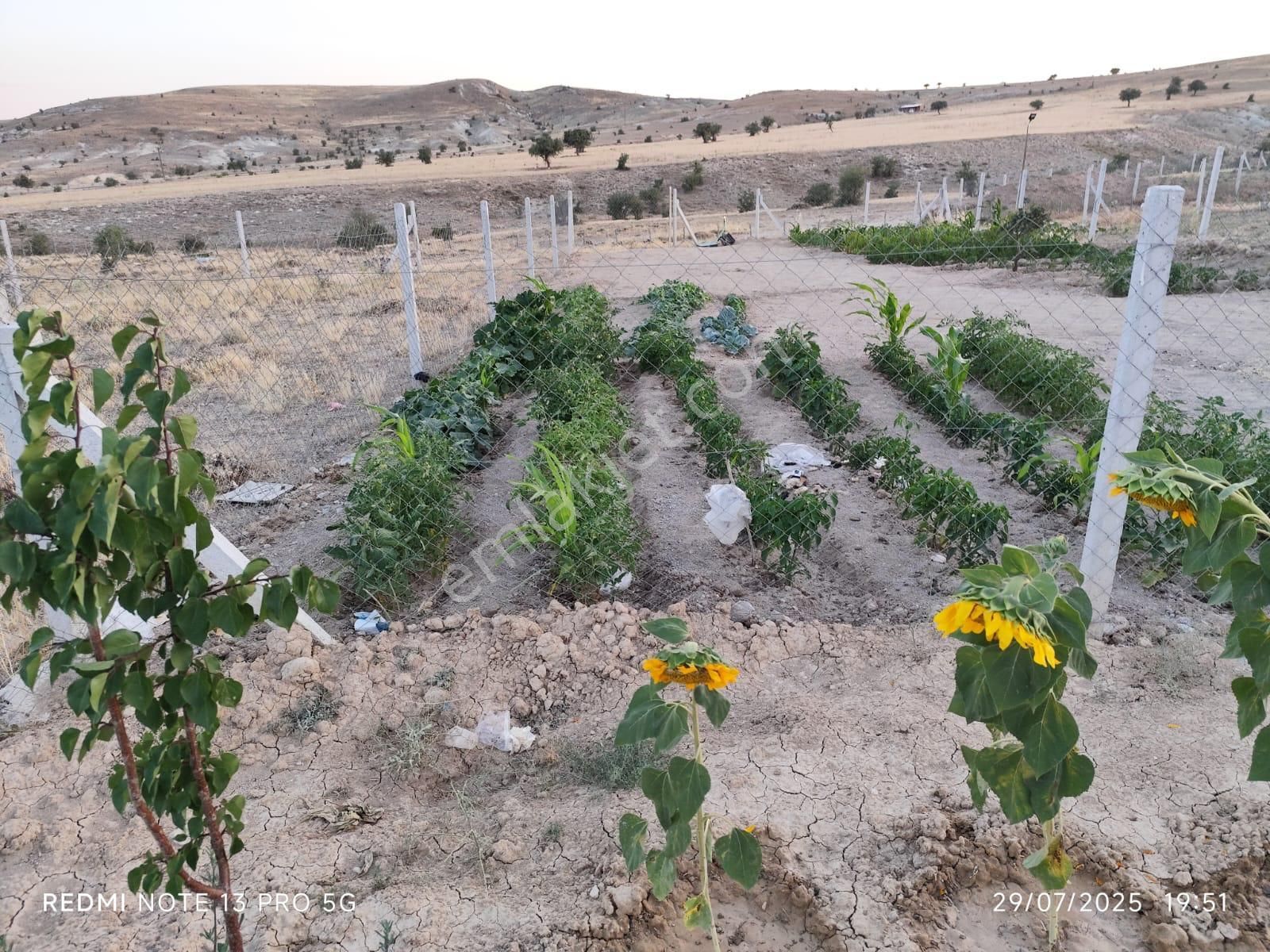 Selçuklu Sulutas'da 300 M2 Satılık Bahçe - Görsel 3