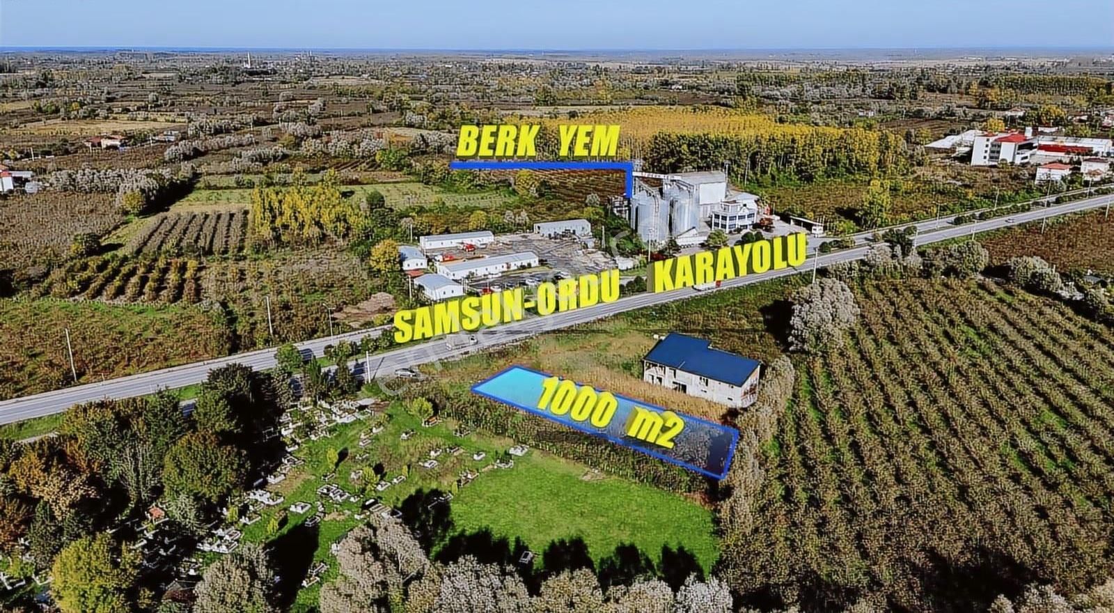 Öz-emmaxtan Samsun-ordu Karayoluna Cephe Tek Tapulu Fırsat Arazi