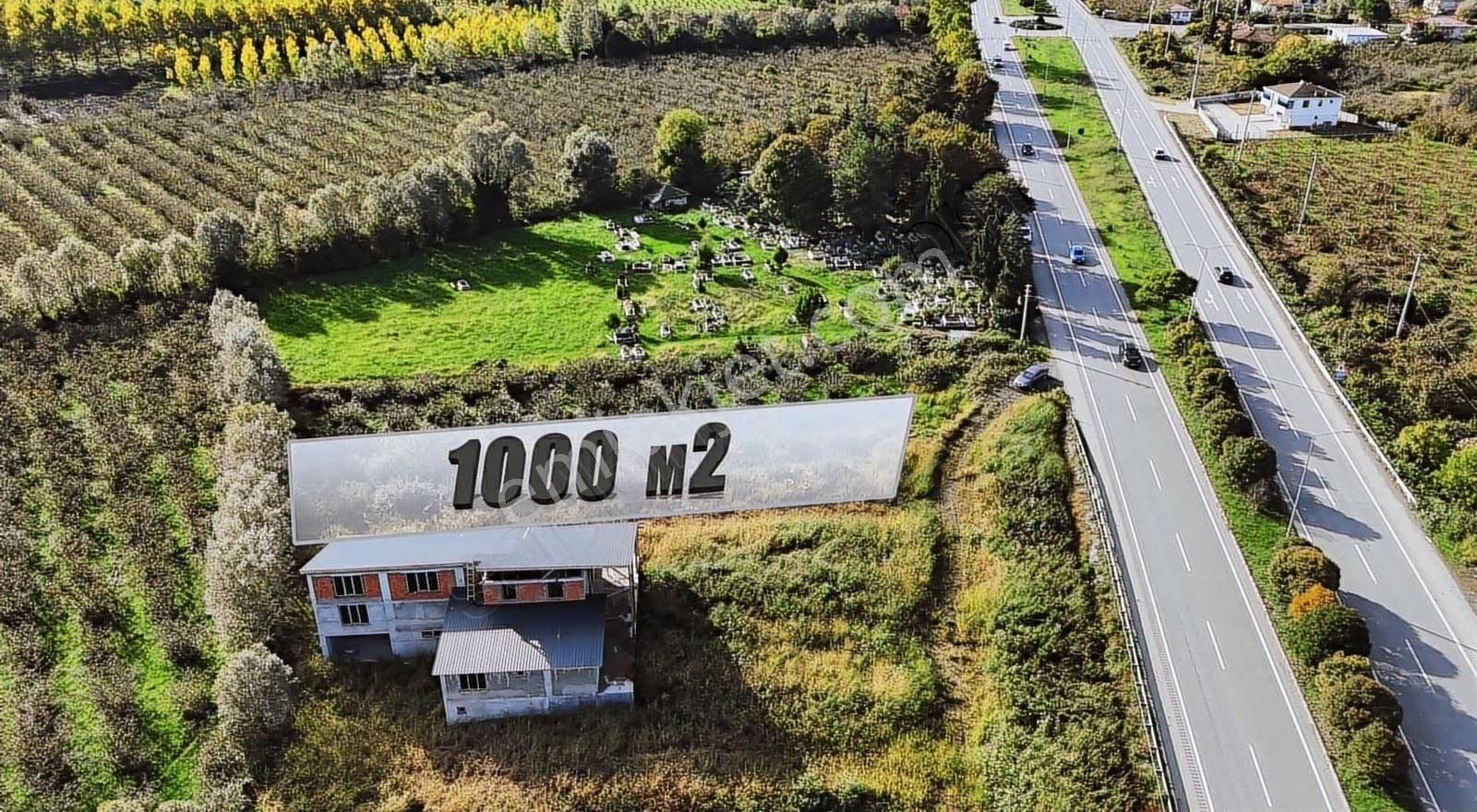 Öz-emmaxtan Samsun-ordu Karayoluna Cephe Tek Tapulu Fırsat Arazi - Görsel 3