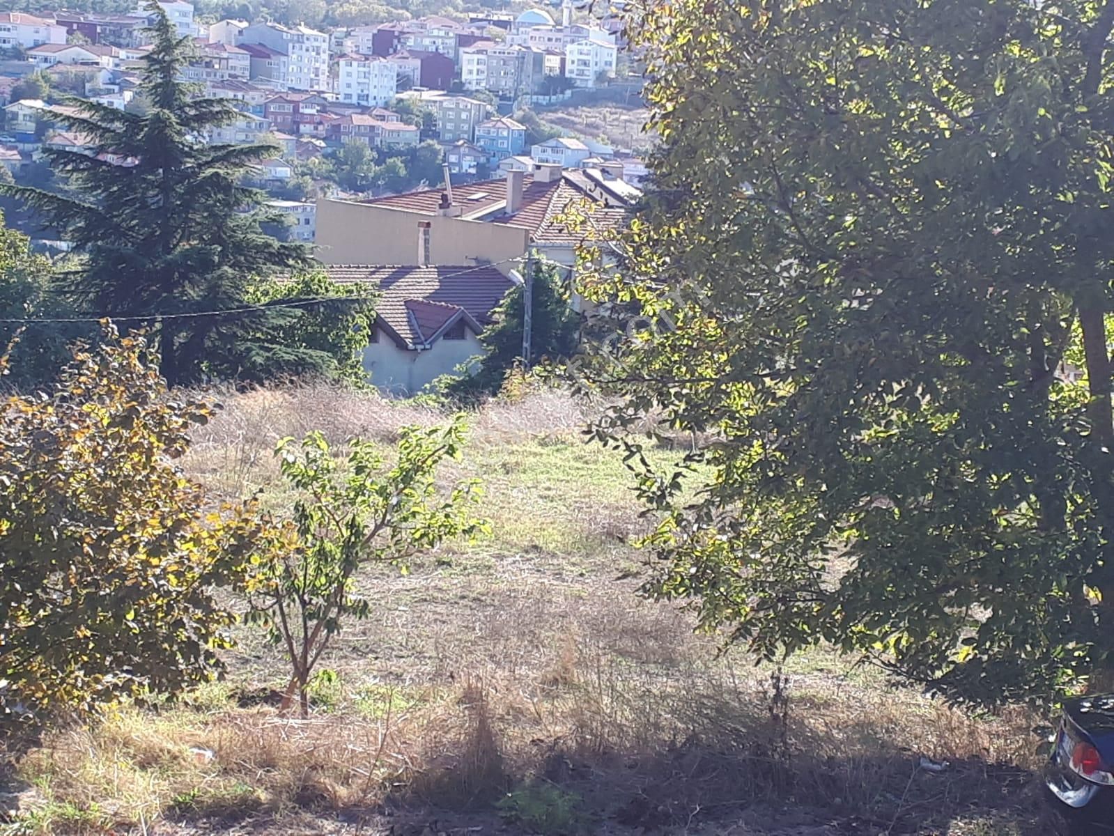Sarıyer İstinye Muhteşem Boğaz Manzaralı 3.671 M² Müstakil Arsa (ön Görünümde Kalmaktadır) - Görsel 15