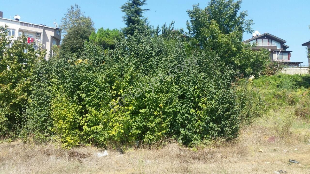 Sarıyer İstinye Muhteşem Boğaz Manzaralı 3.671 M² Müstakil Arsa (ön Görünümde Kalmaktadır) - Görsel 14