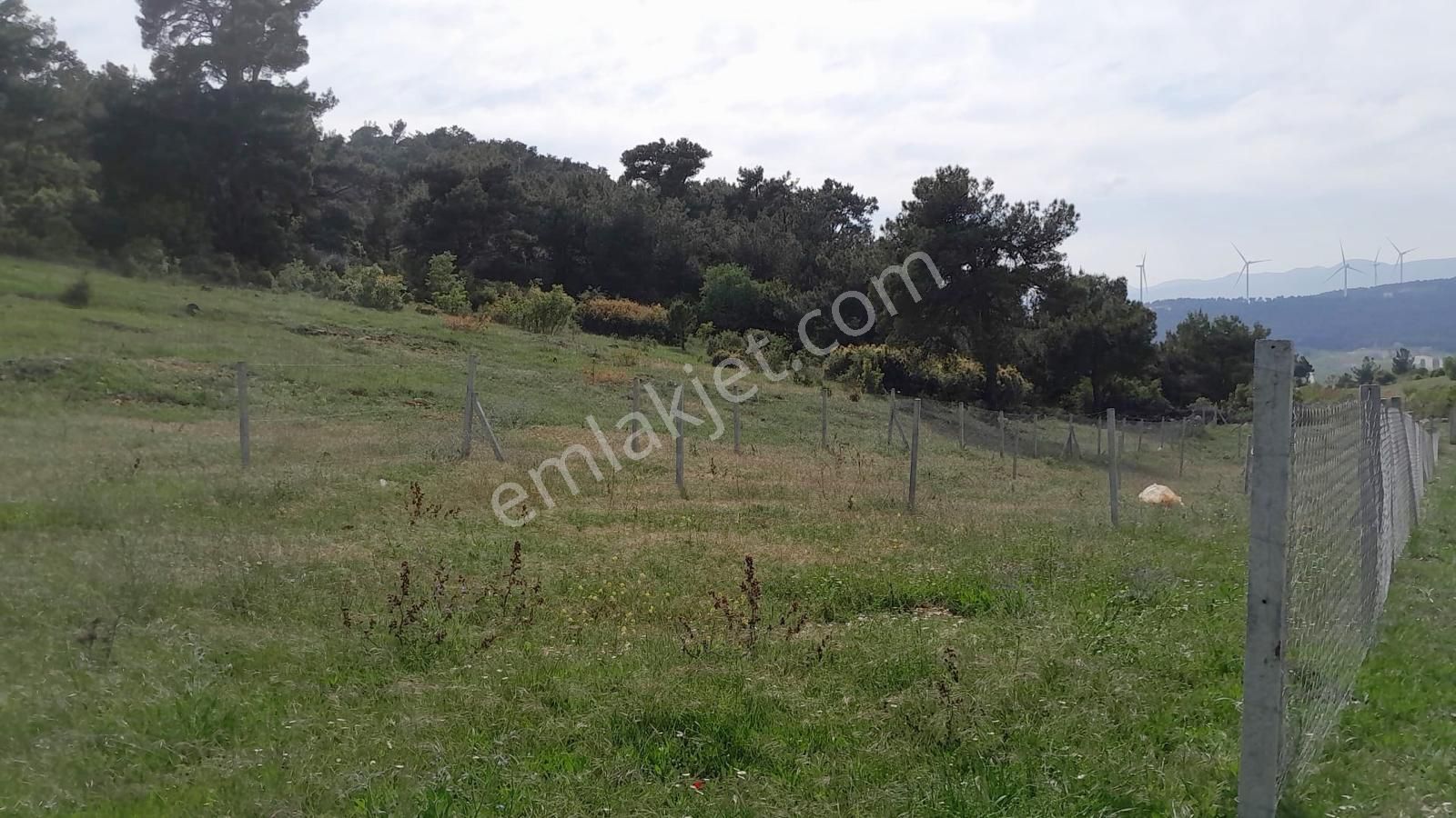 Kemalpaşa Damlacık'ta Harika Konumda Satılık Arsa - Görsel 8