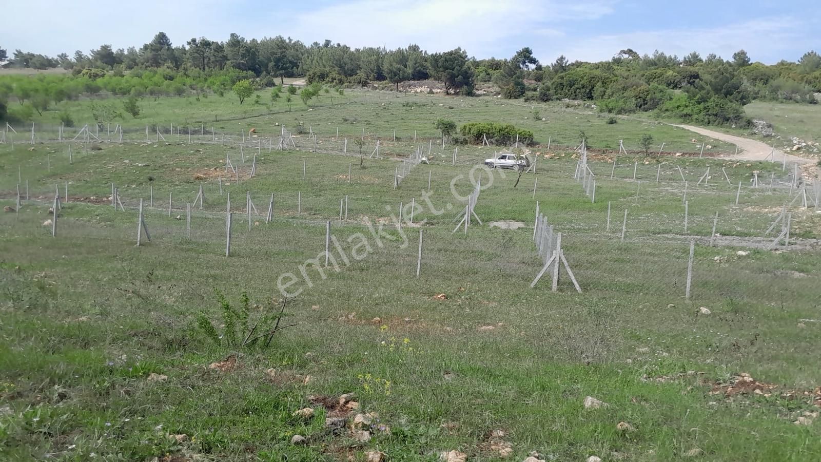 Kemalpaşa Damlacık'ta Harika Konumda Satılık Arsa - Görsel 5