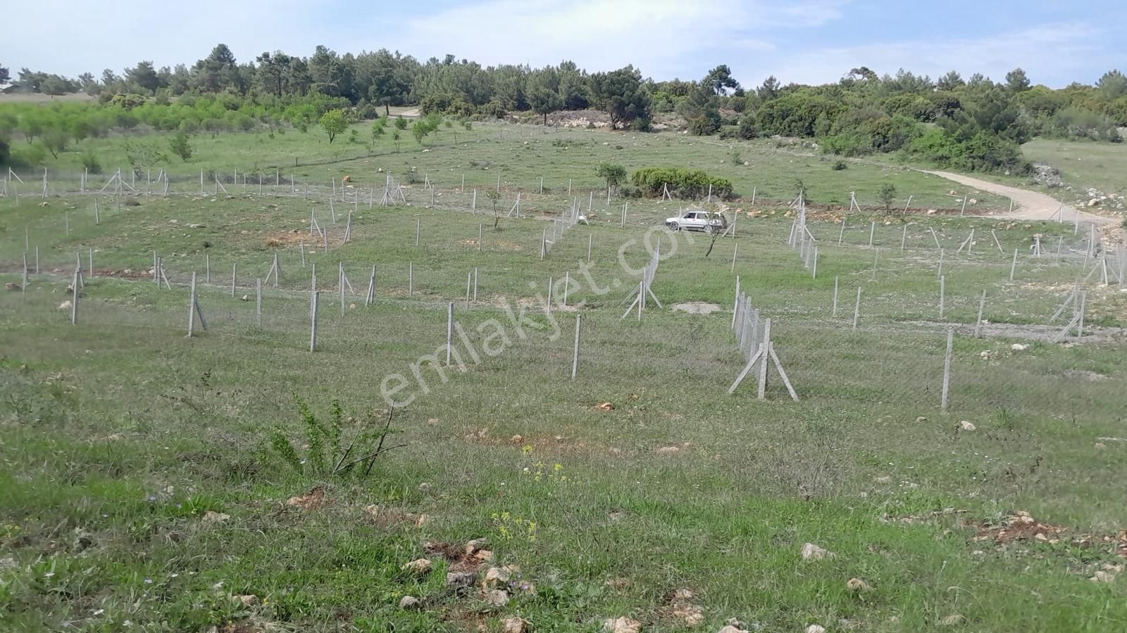 Kemalpaşa Damlacık'ta Harika Konumda Satılık Arsa