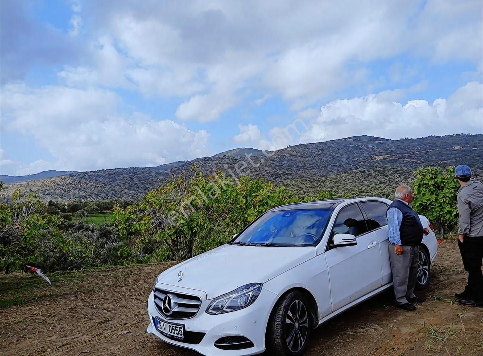 Muhteşem Manzara Ve Konumda 25.320 M² İncir-zeytin Bahçesi