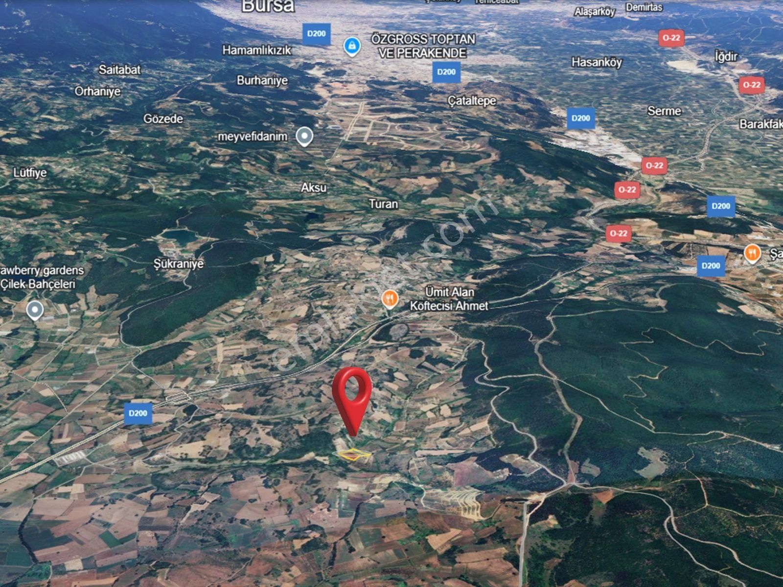 Bursa Kestel Ümitalanda Yol Üzerin De Satılık Meyve Bahçesi - Görsel 23