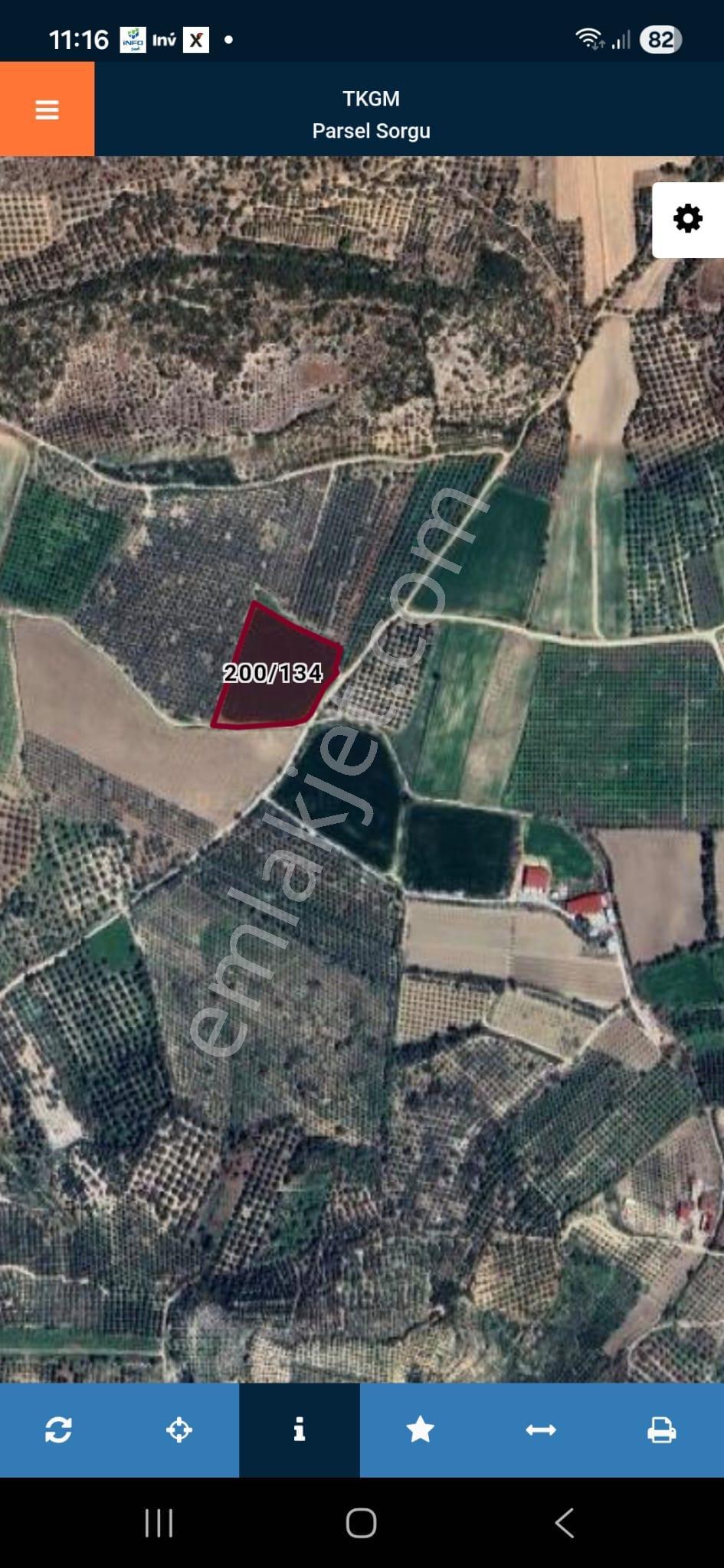 Aydın Balat Kadastro Yolu Olan Satılık Fırsat Tarla - Görsel 2