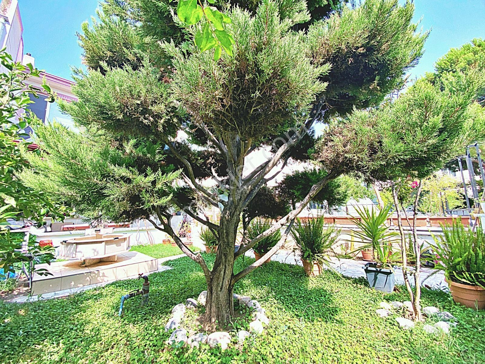 Akçay İkizçay Da 3+1 Bahçeli Şahane Satılık Villa - Görsel 30