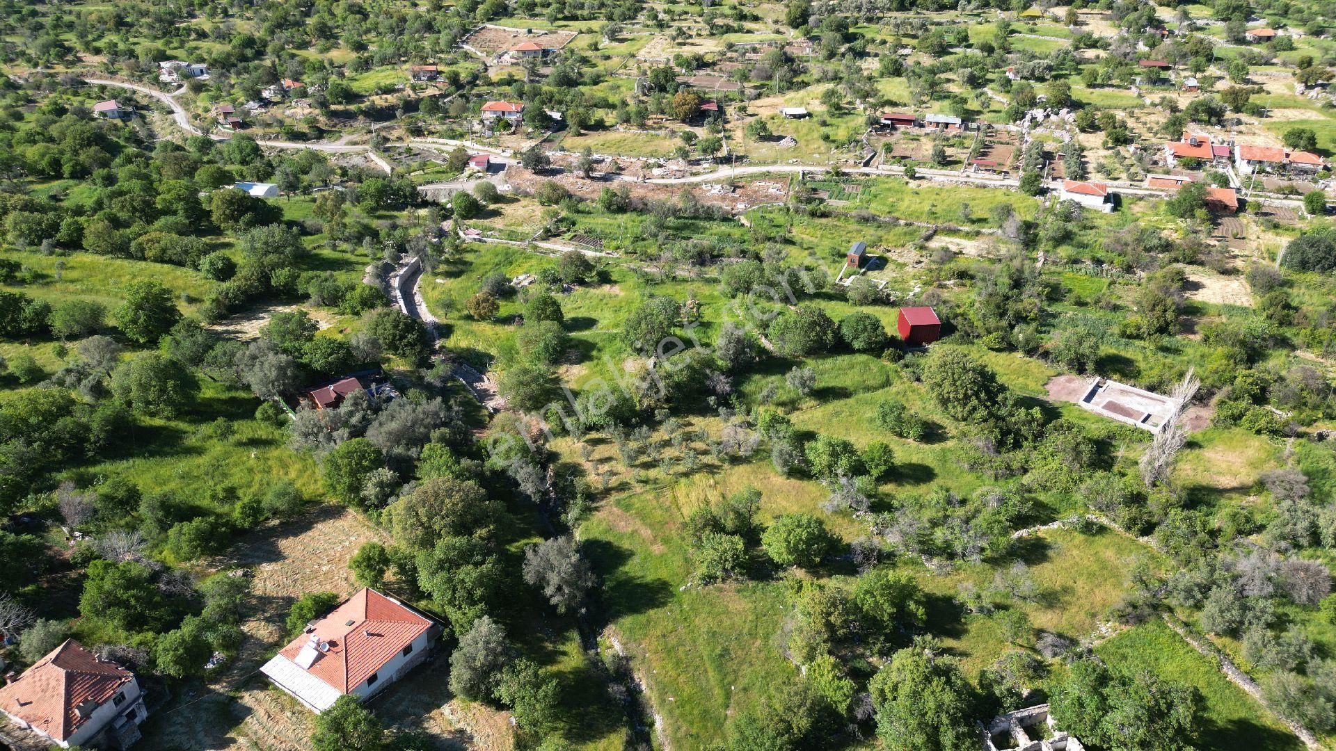 Joker: Söğüt Bahçeli Yerleşim Alanında Düzlük Satılık Tarla - Görsel 5