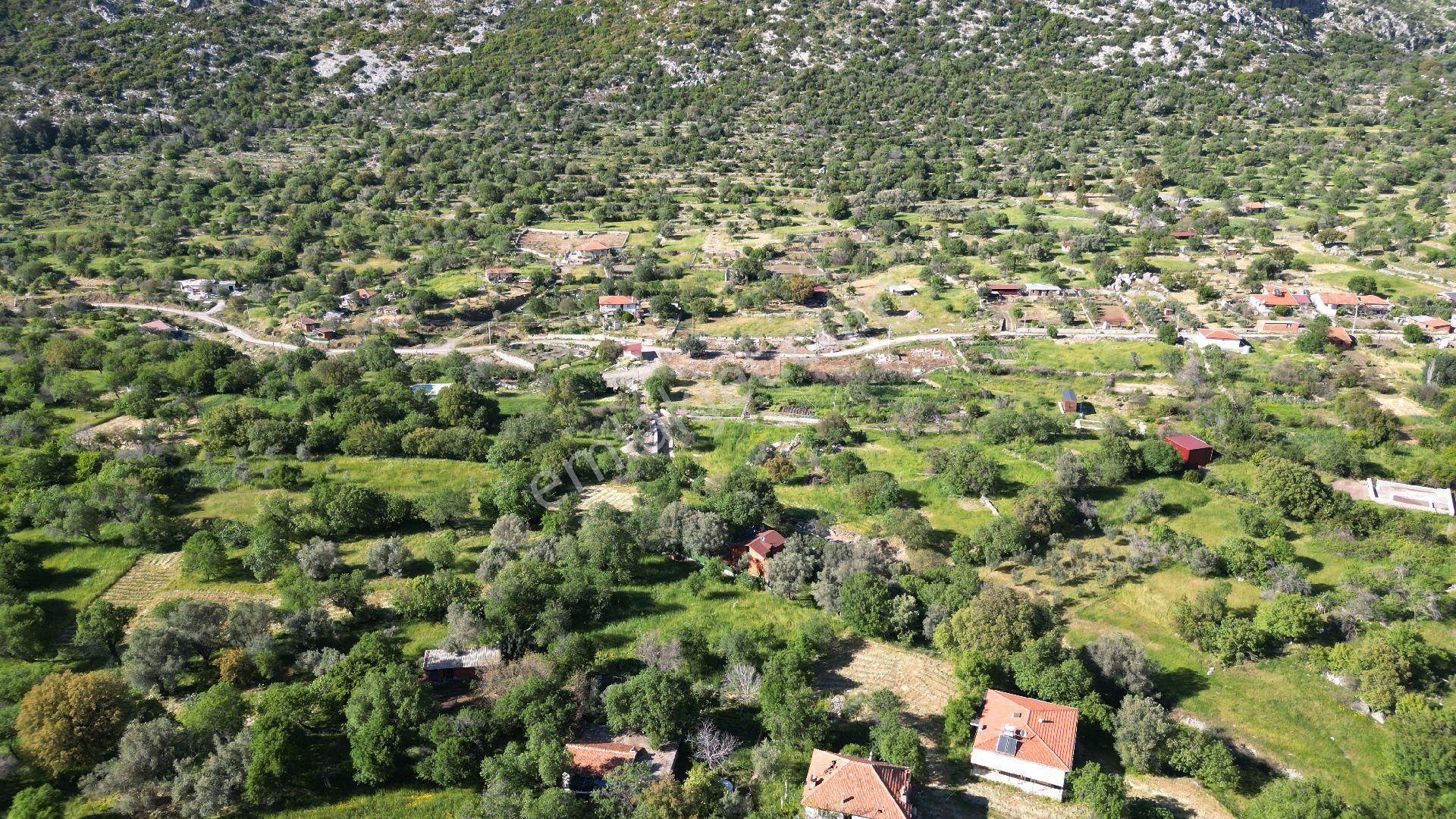 Joker: Söğüt Bahçeli Yerleşim Alanında Düzlük Satılık Tarla - Görsel 8