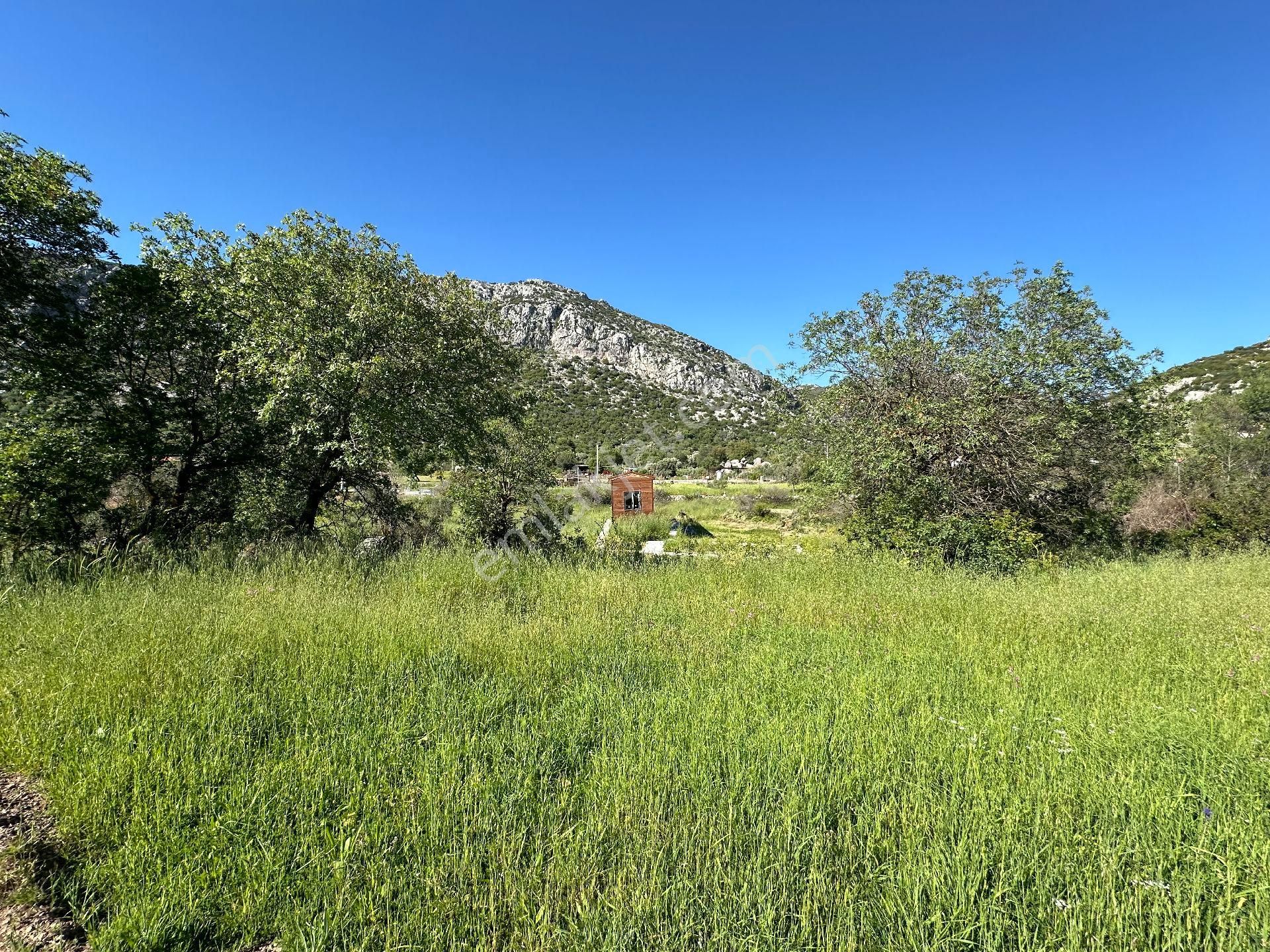 Joker: Söğüt Bahçeli Yerleşim Alanında Düzlük Satılık Tarla - Görsel 3