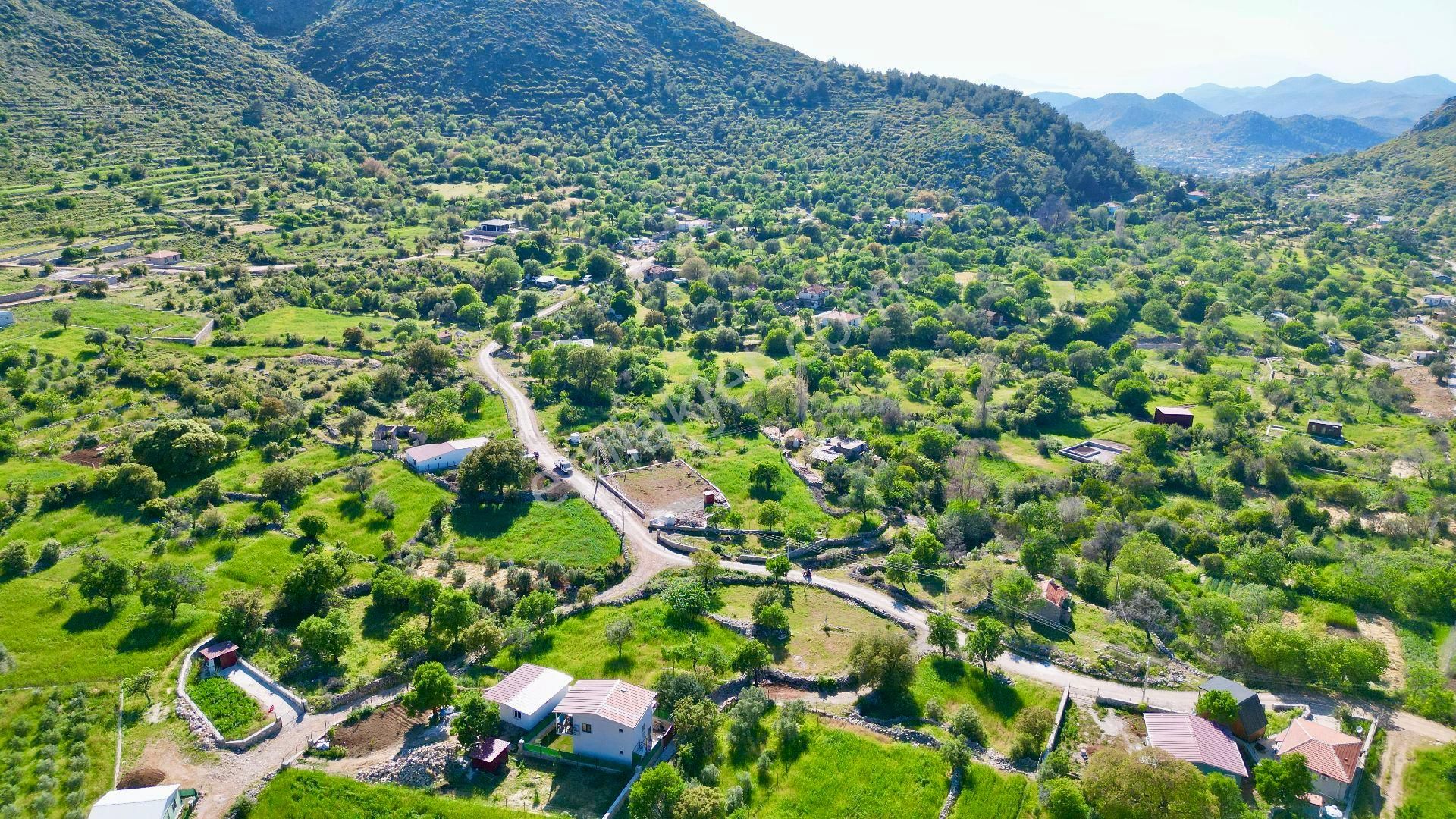 Joker: Söğüt Bahçeli Yerleşim Alanında Düzlük Satılık Tarla - Görsel 4