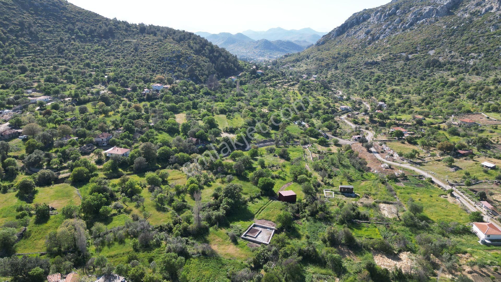 Joker: Söğüt Bahçeli Yerleşim Alanında Düzlük Satılık Tarla - Görsel 9