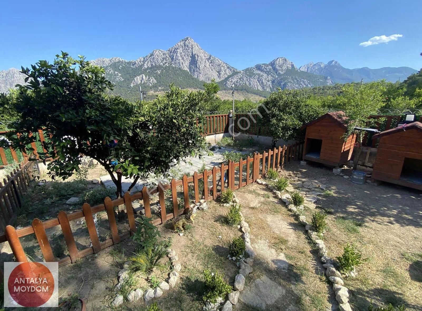 Hacı Sekilerde Doğayla İç İçe Müstakil Ev - Görsel 7