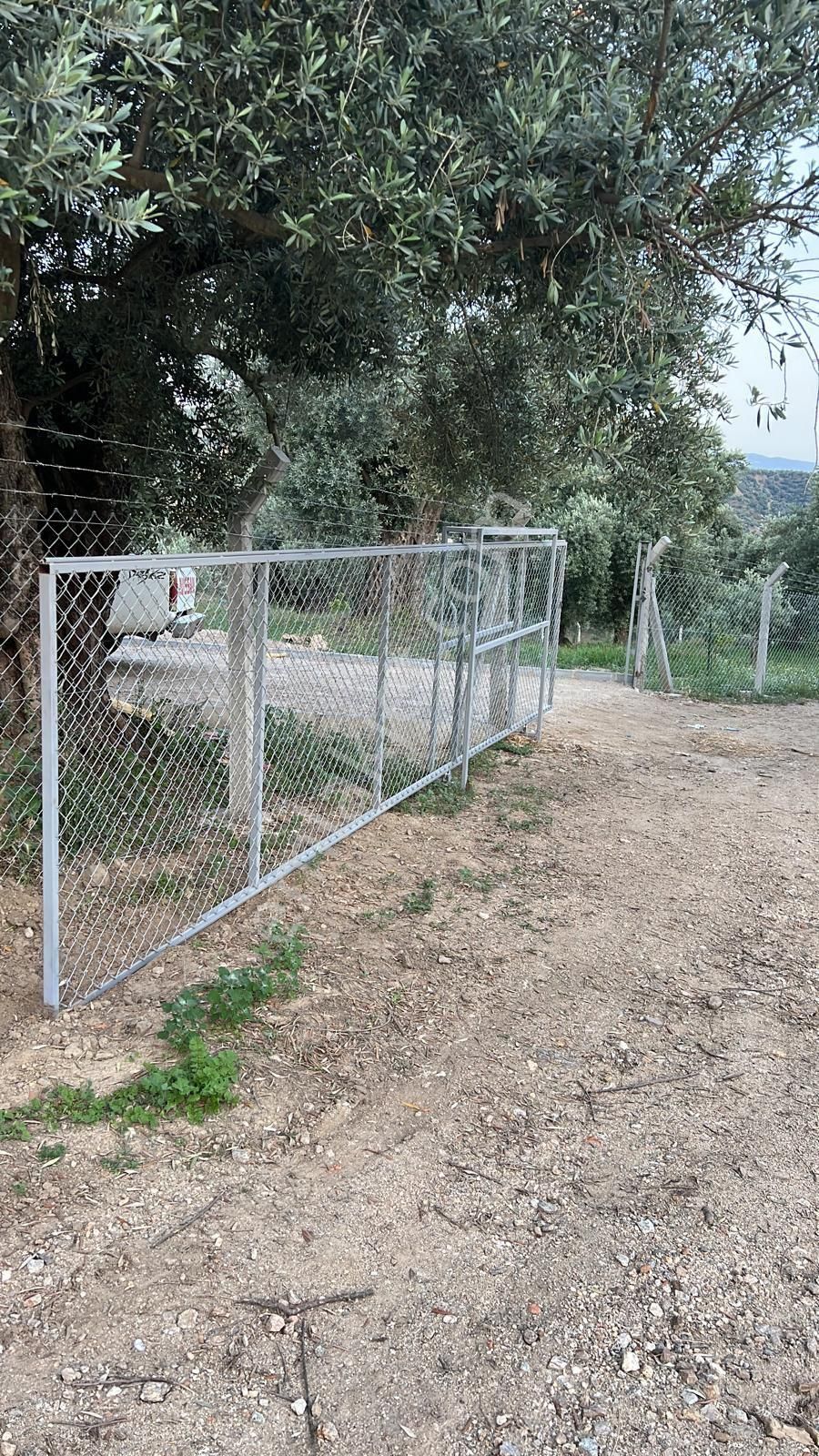 Aydın Nazilli Ocaklı Sınırında Bulunan 4 Dönüm Zeytinliğimiz Satılıktır. 4134 M2’dir. - Görsel 25