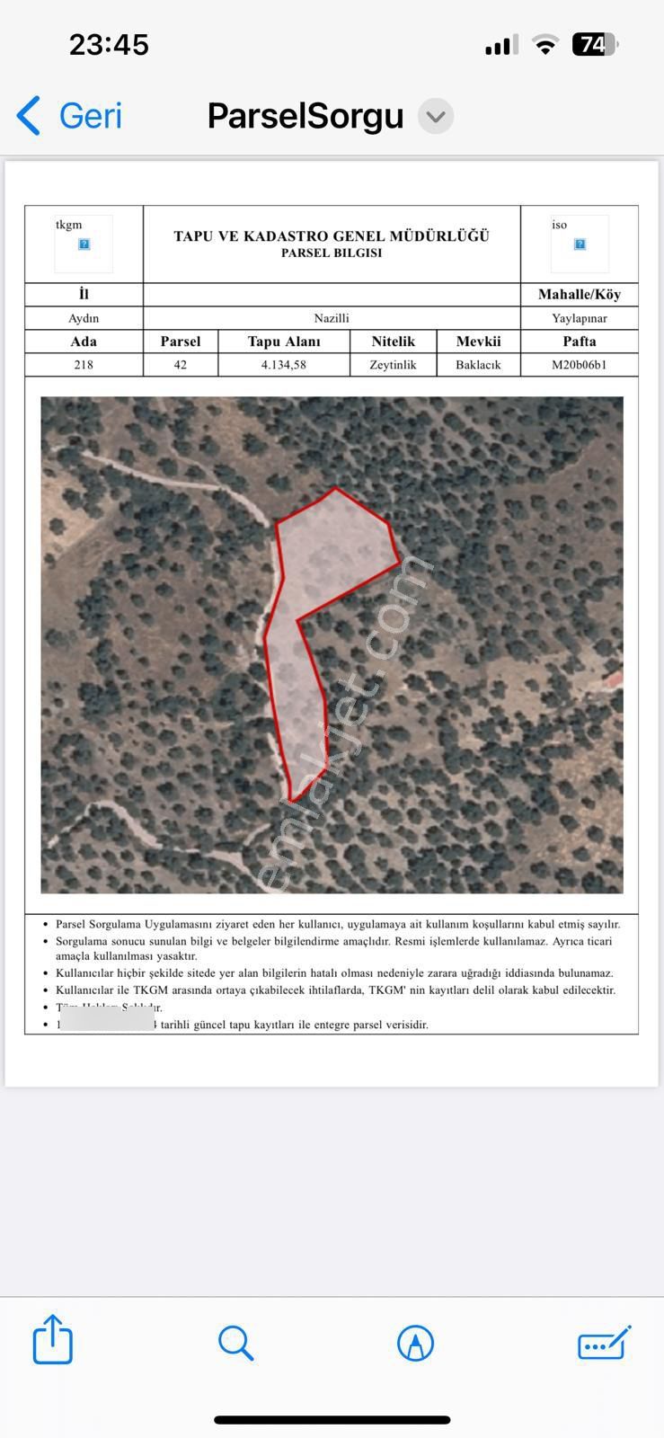 Aydın Nazilli Ocaklı Sınırında Bulunan 4 Dönüm Zeytinliğimiz Satılıktır. 4134 M2’dir. - Görsel 31