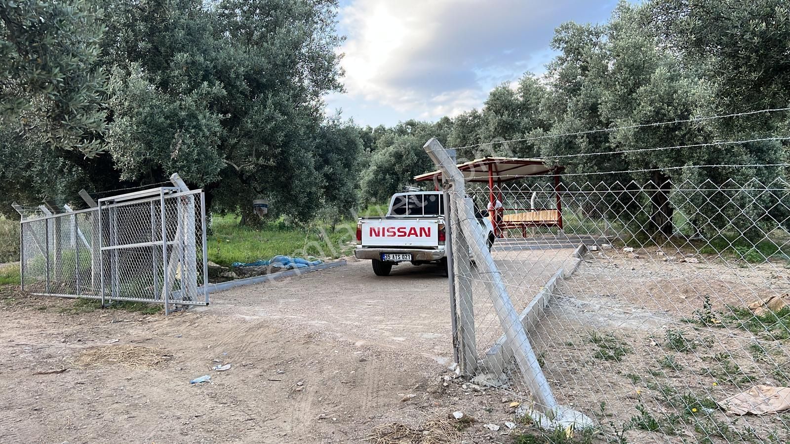 Aydın Nazilli Ocaklı Sınırında Bulunan 4 Dönüm Zeytinliğimiz Satılıktır. 4134 M2’dir. - Görsel 28