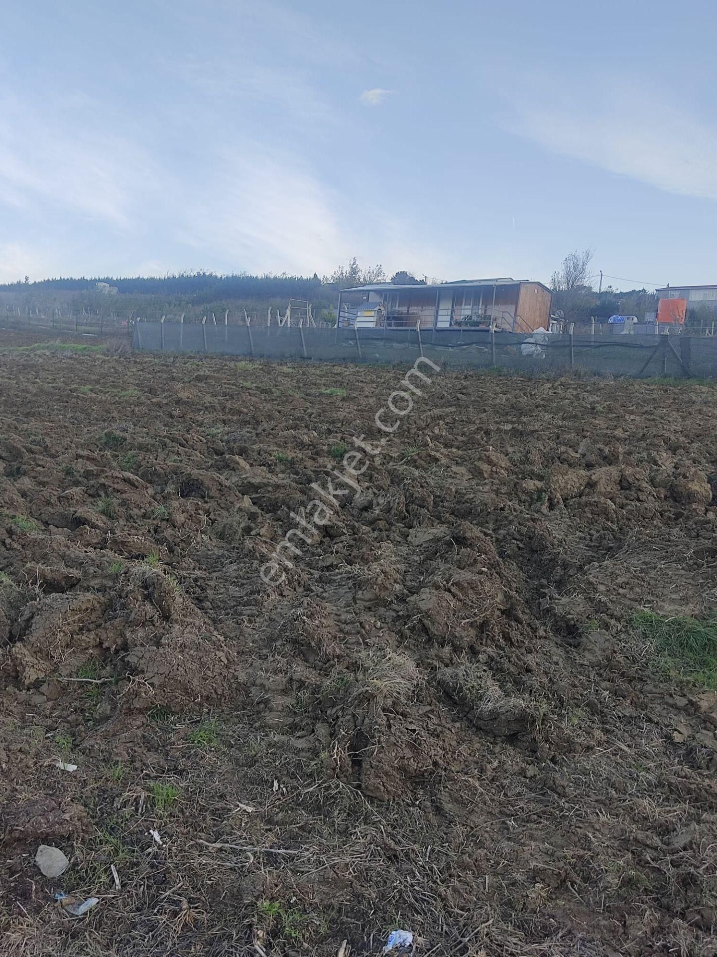 Silivri Akören De 7500 M2 Satlık Köye Yakın Tarla - Görsel 6